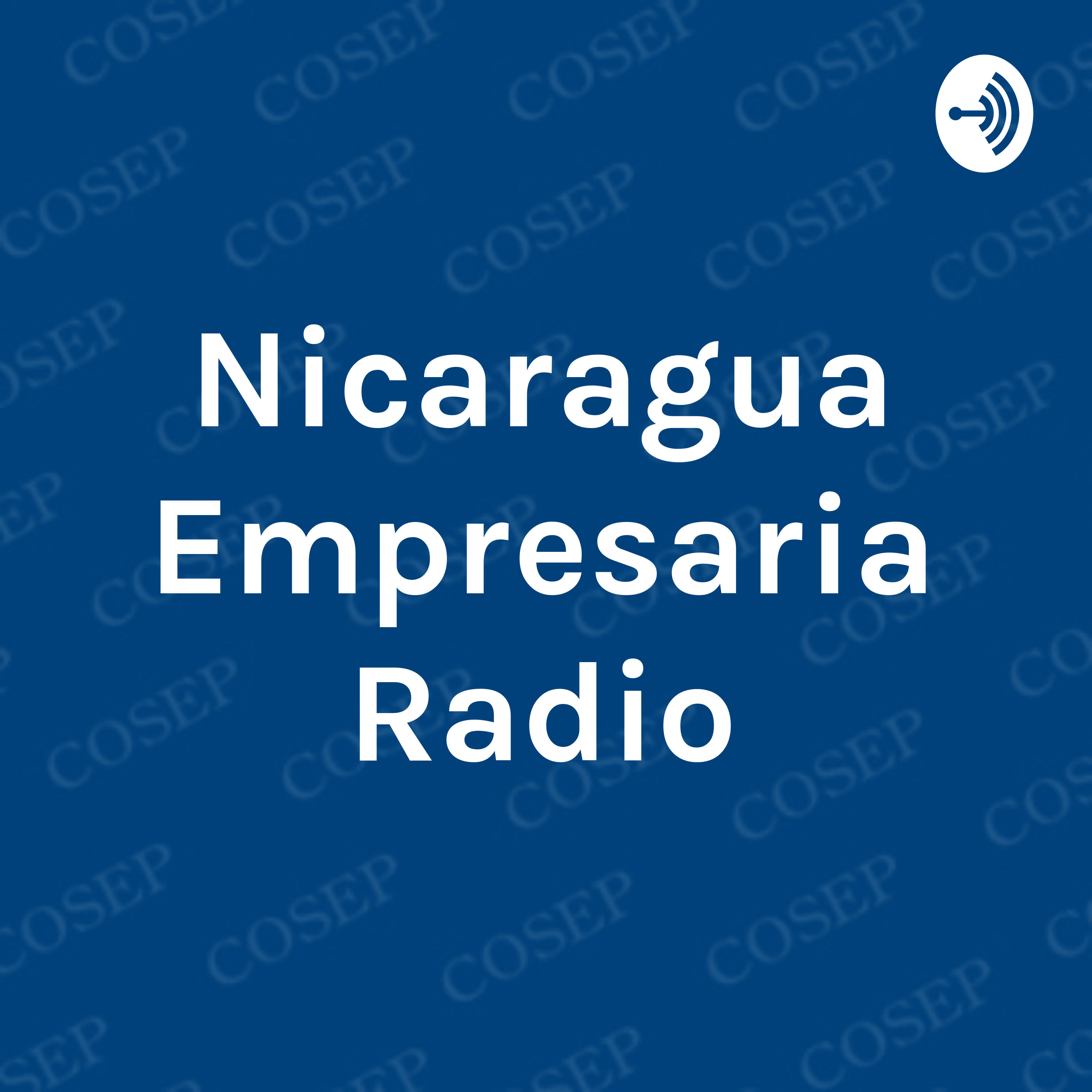 Nicaragua Empresaria Radio