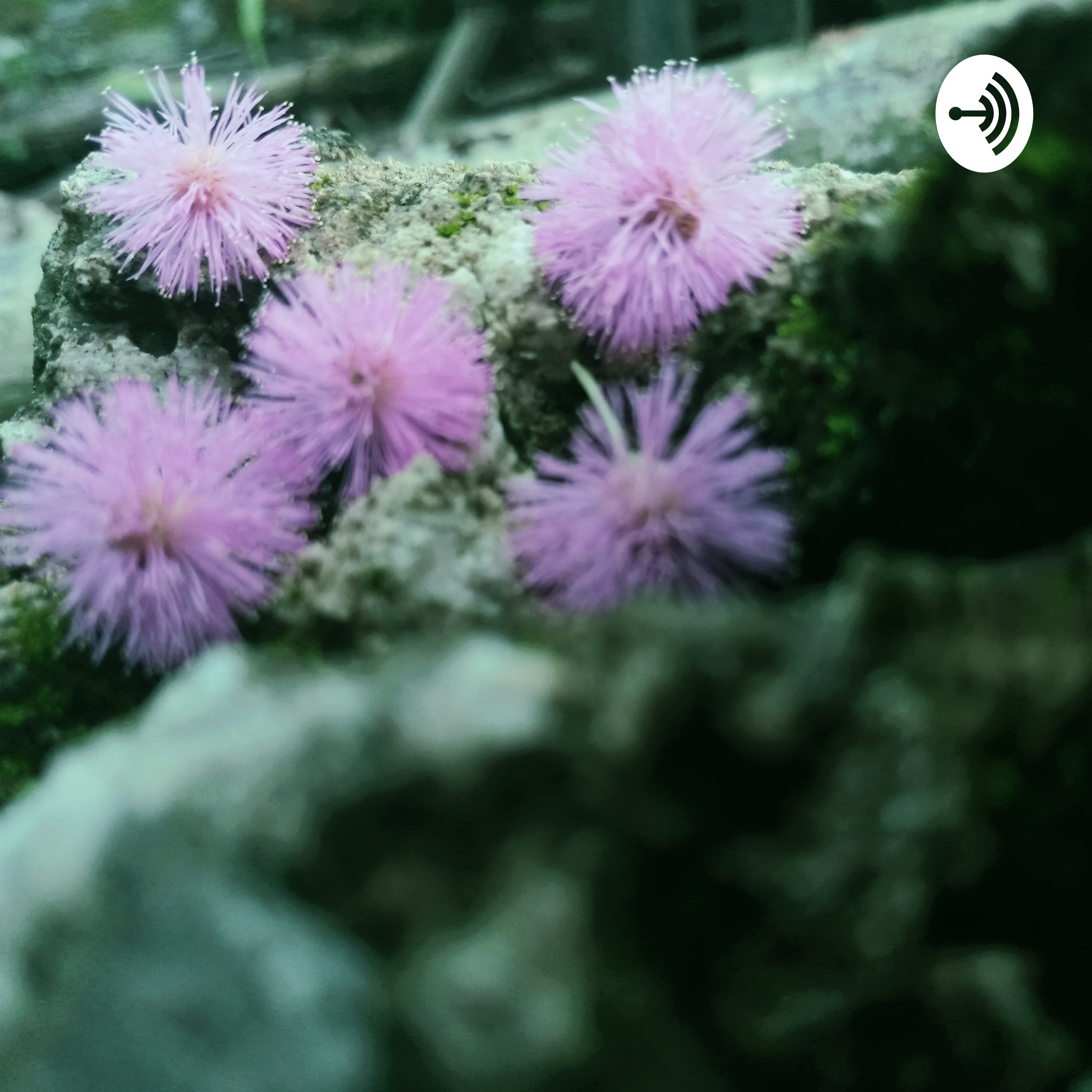 Yakita podcast artwork
