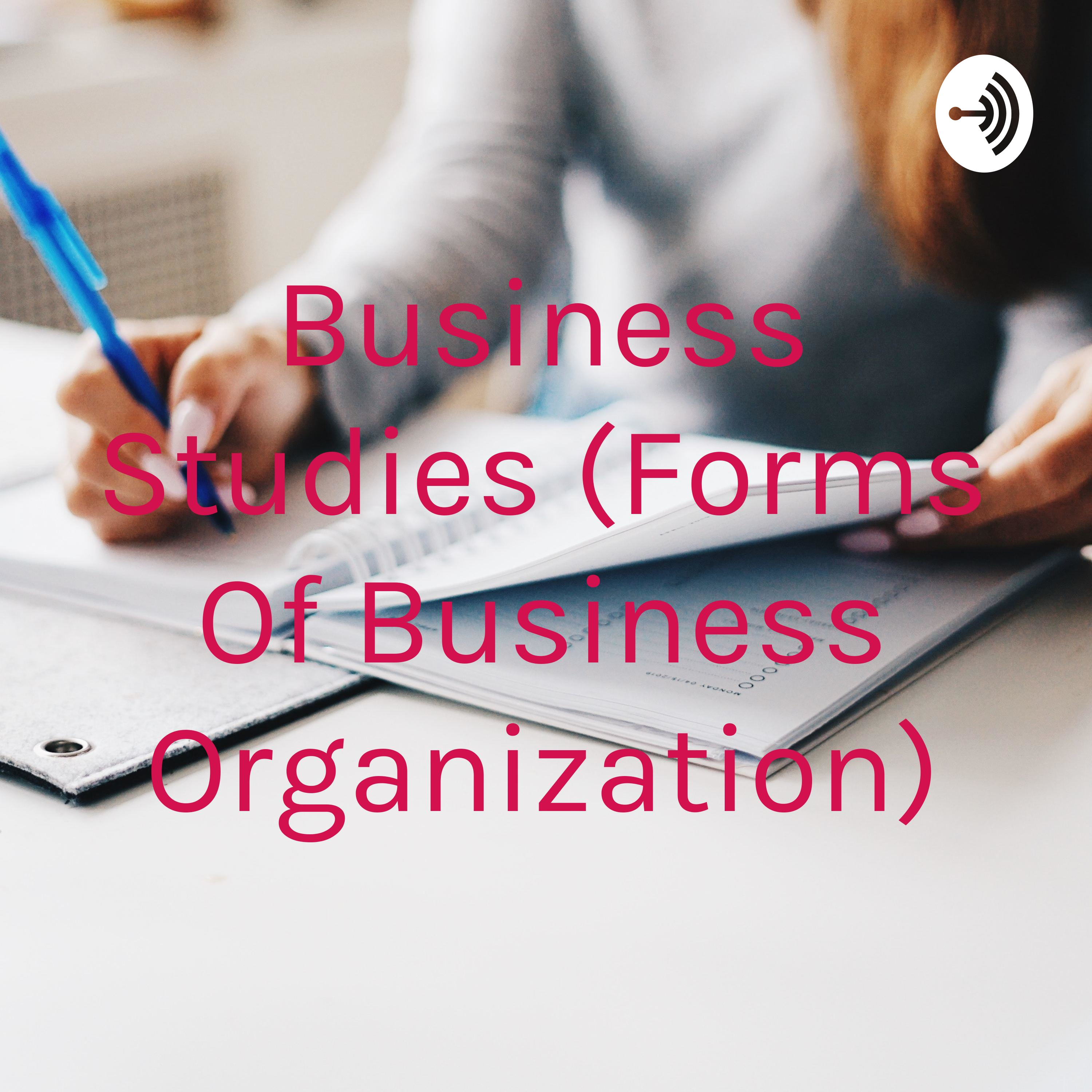 Business Studies (Forms Of Business Organization)