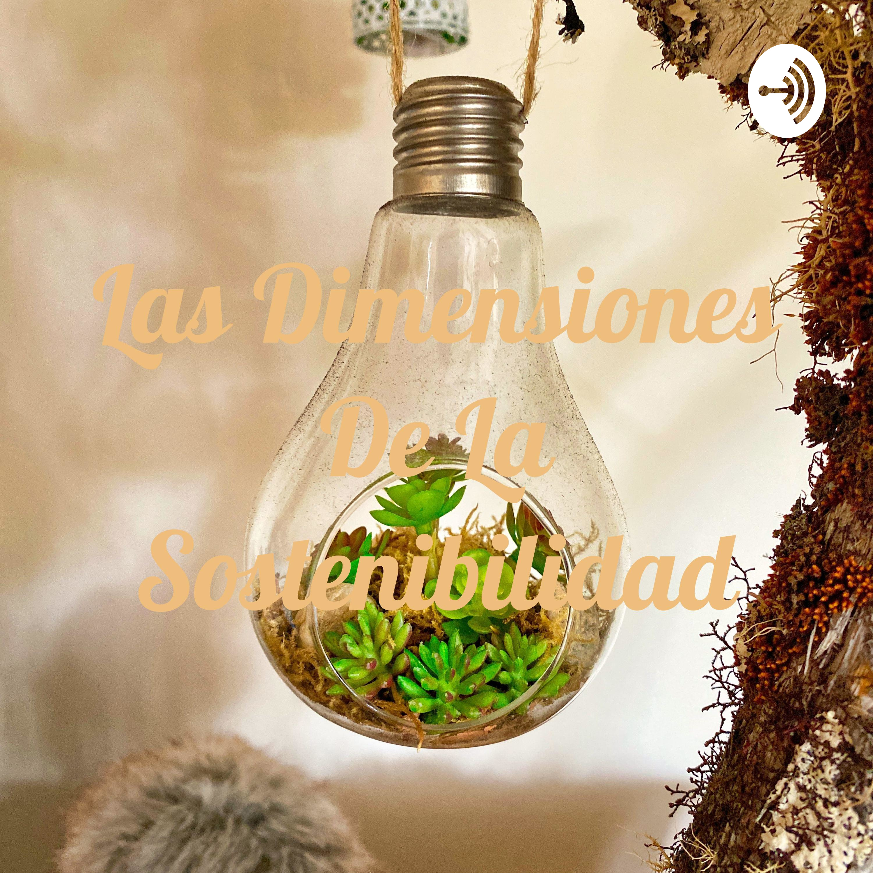 Las Dimensiones De La Sostenibilidad