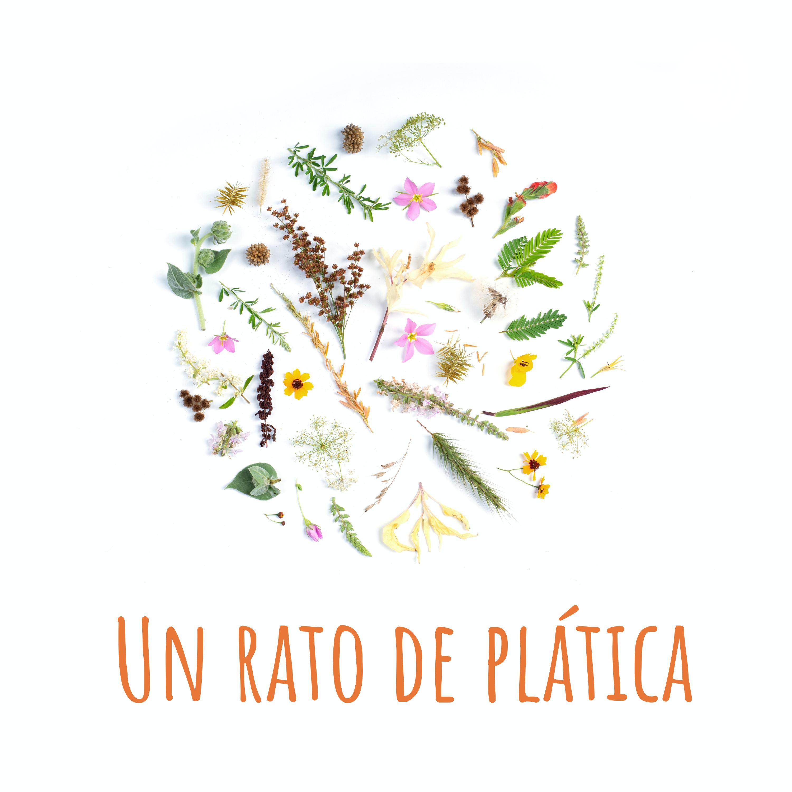 Un rato de plática