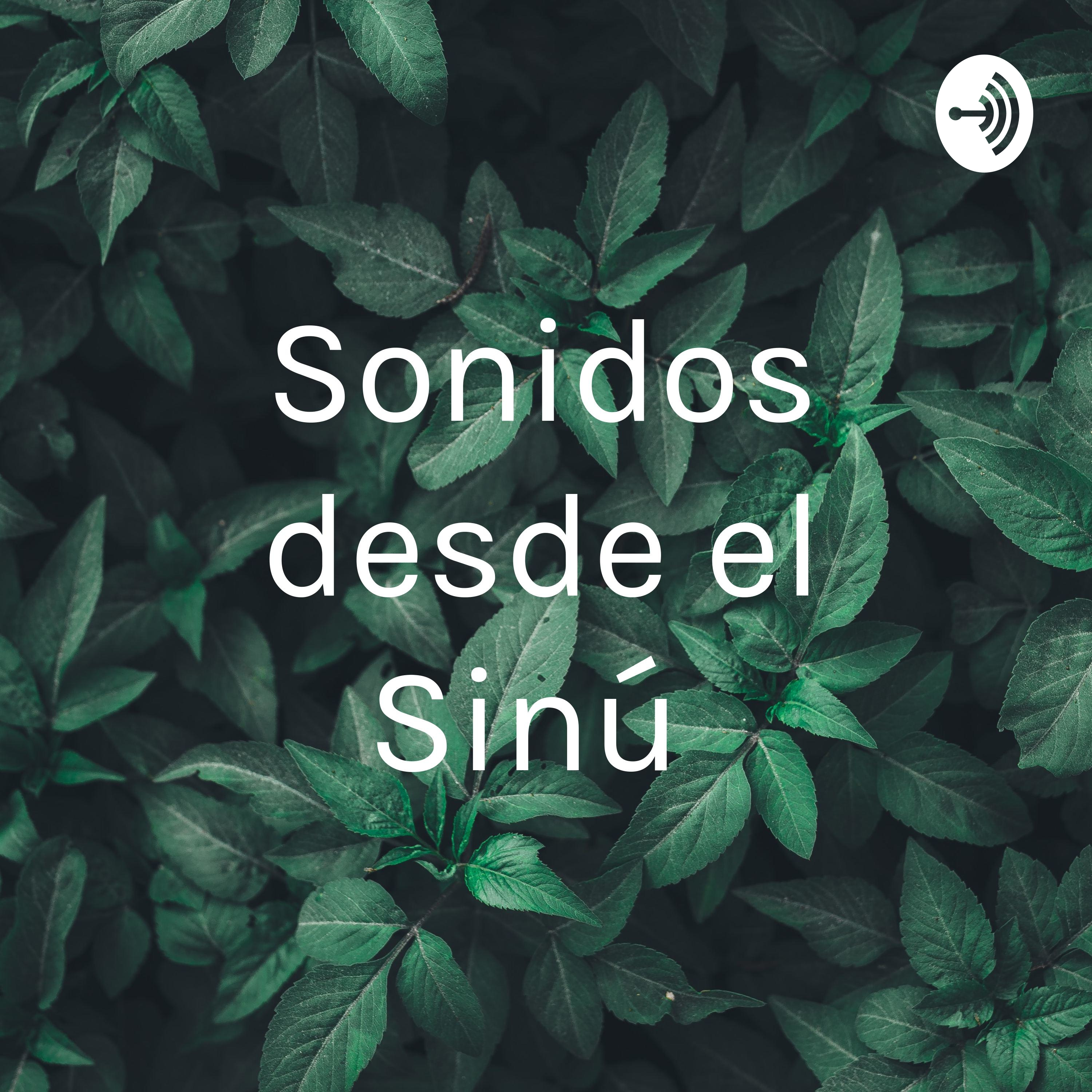 Sonidos desde el Sinú