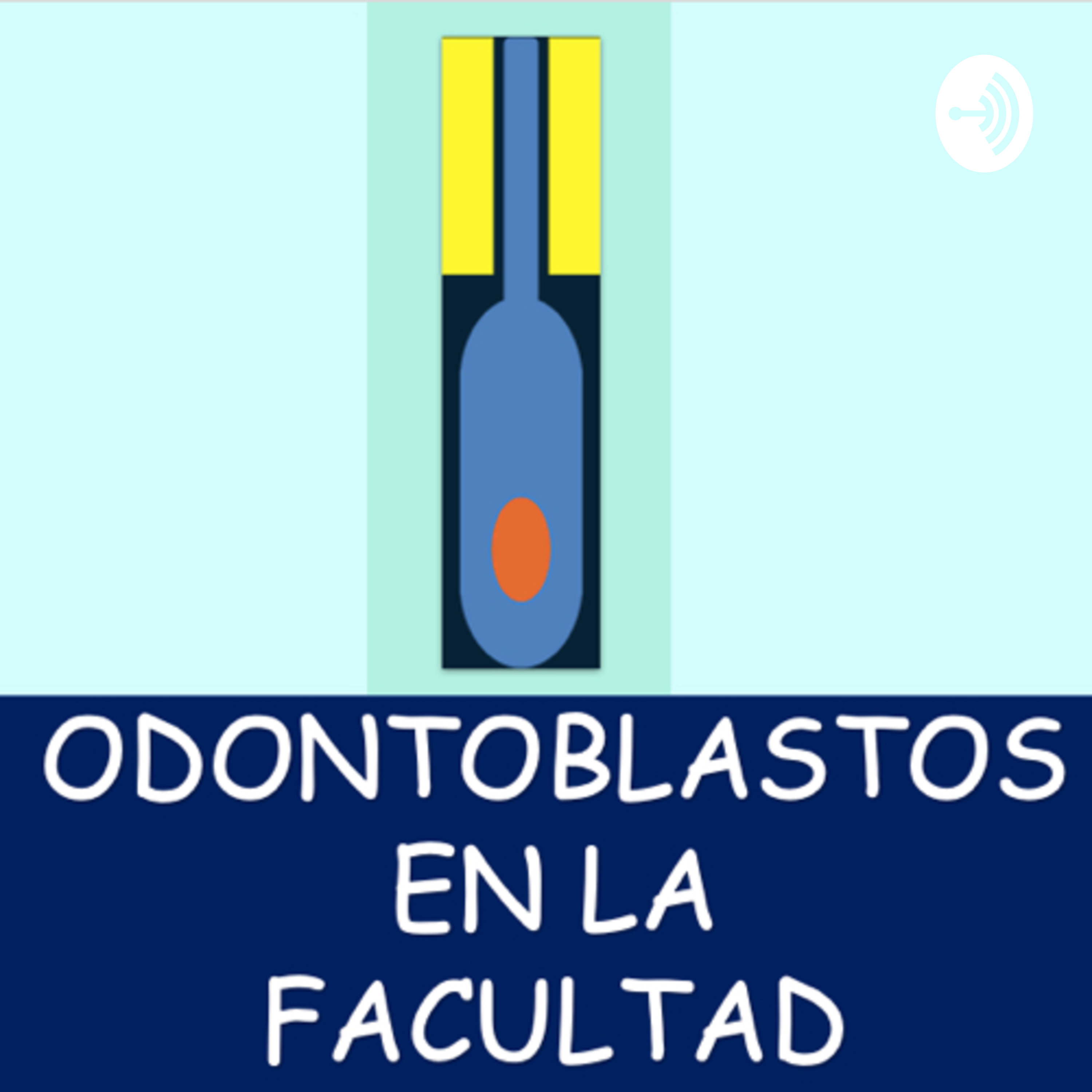 Odontoblastos en la facultad