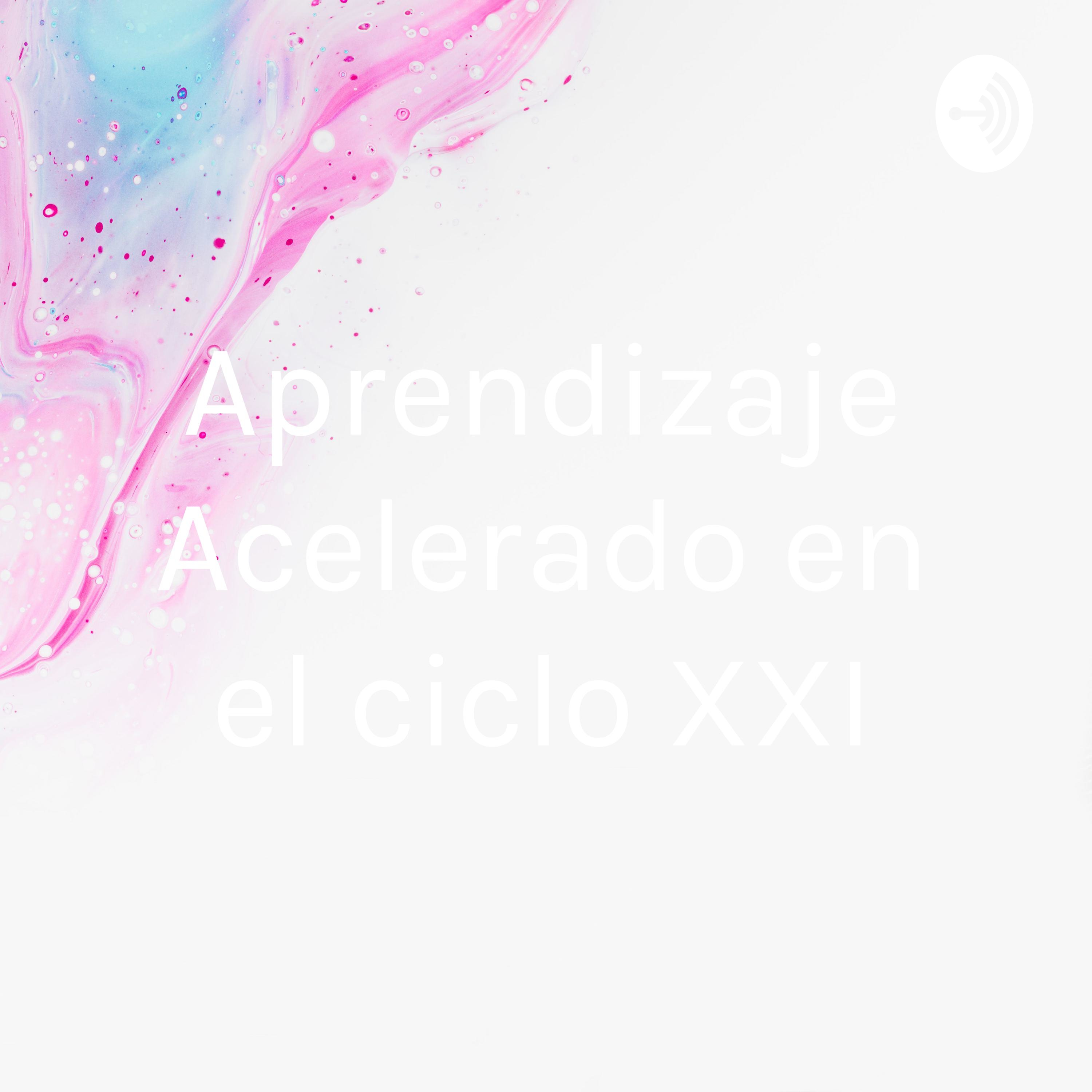 Aprendizaje Acelerado en el ciclo XXI