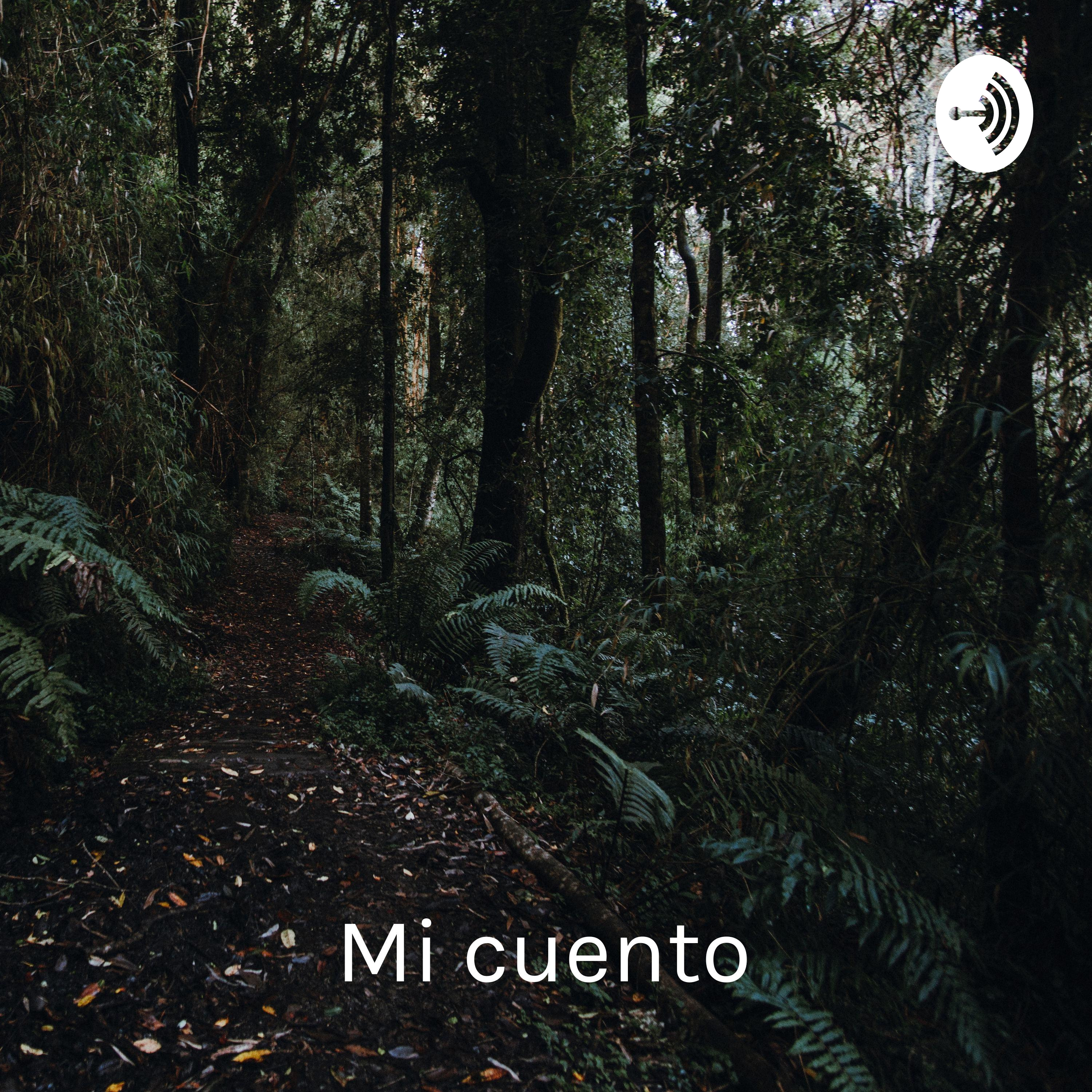 Mi cuento: “Una noche oscura” por Lean M. Rodríguez Colón 