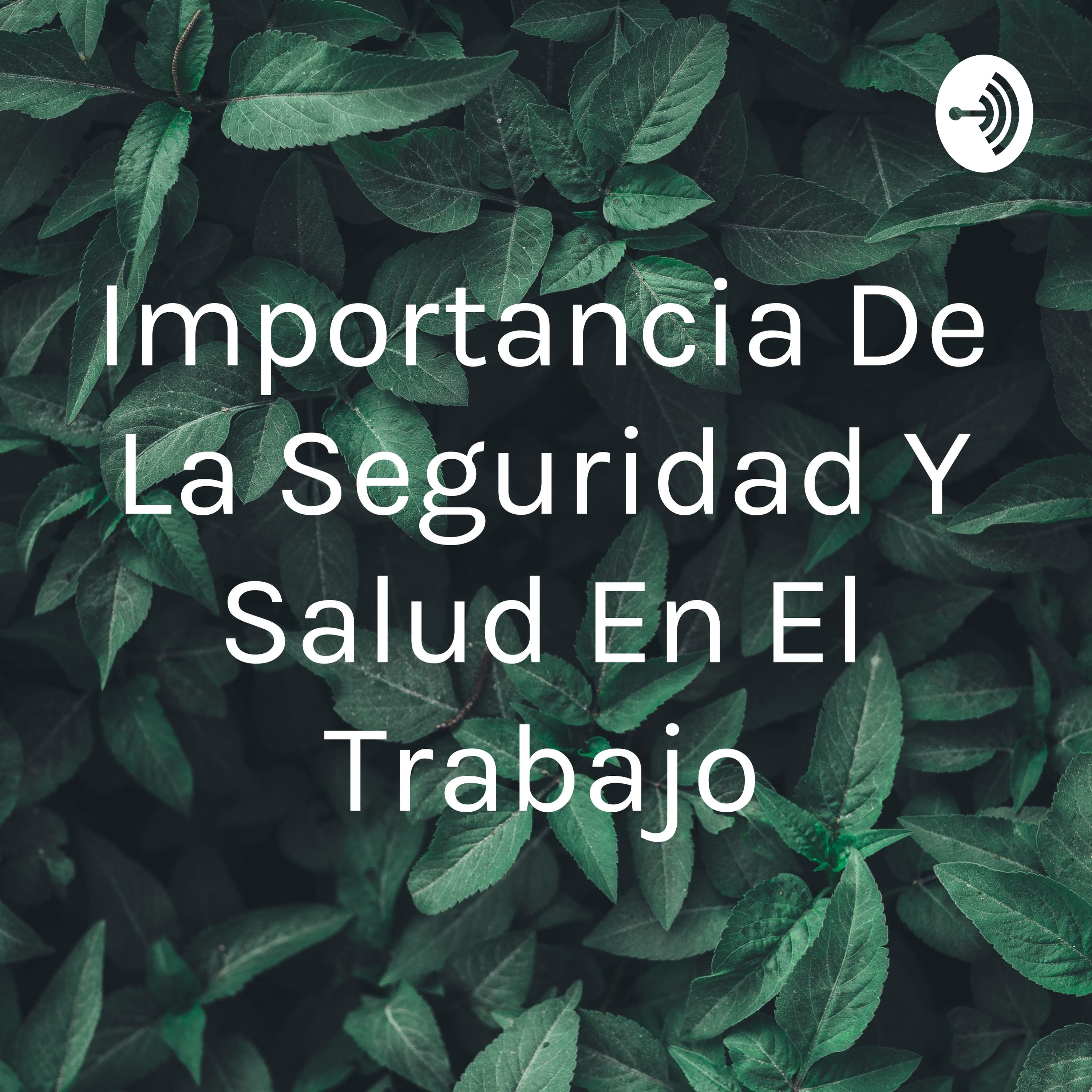 Importancia De La Seguridad Y Salud En El Trabajo