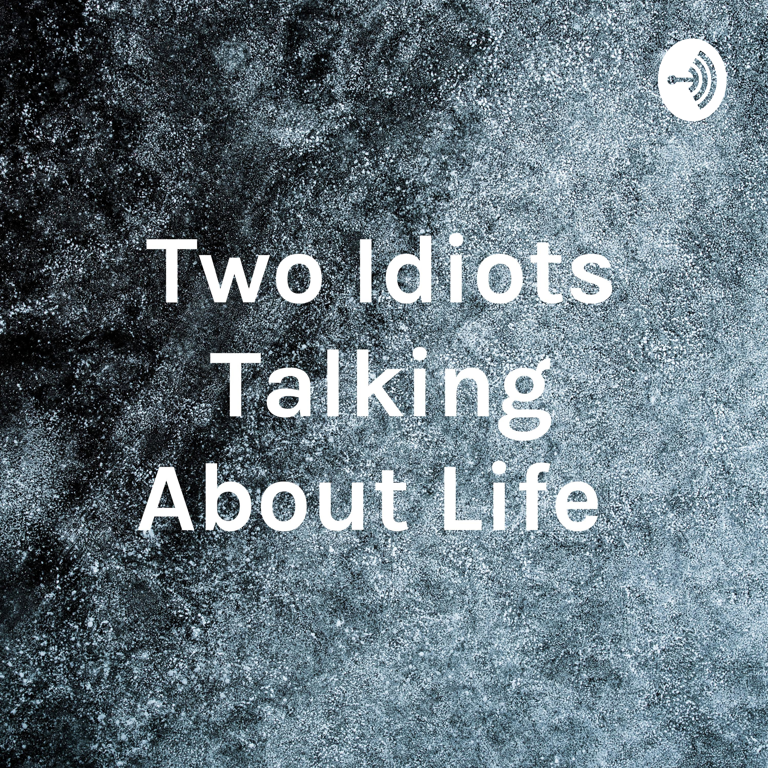Two Idiots Talking About Life 