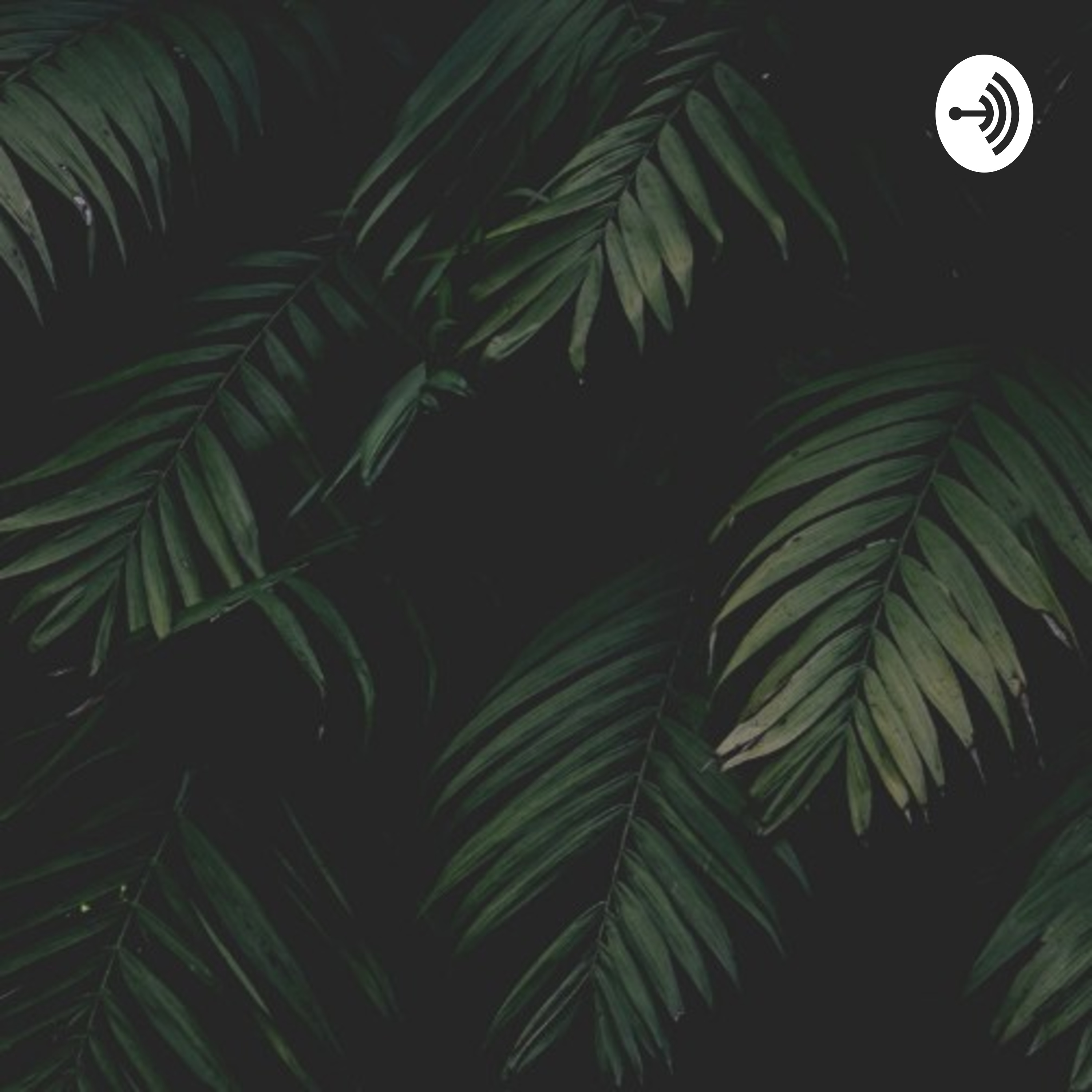 Halcyon podcast artwork