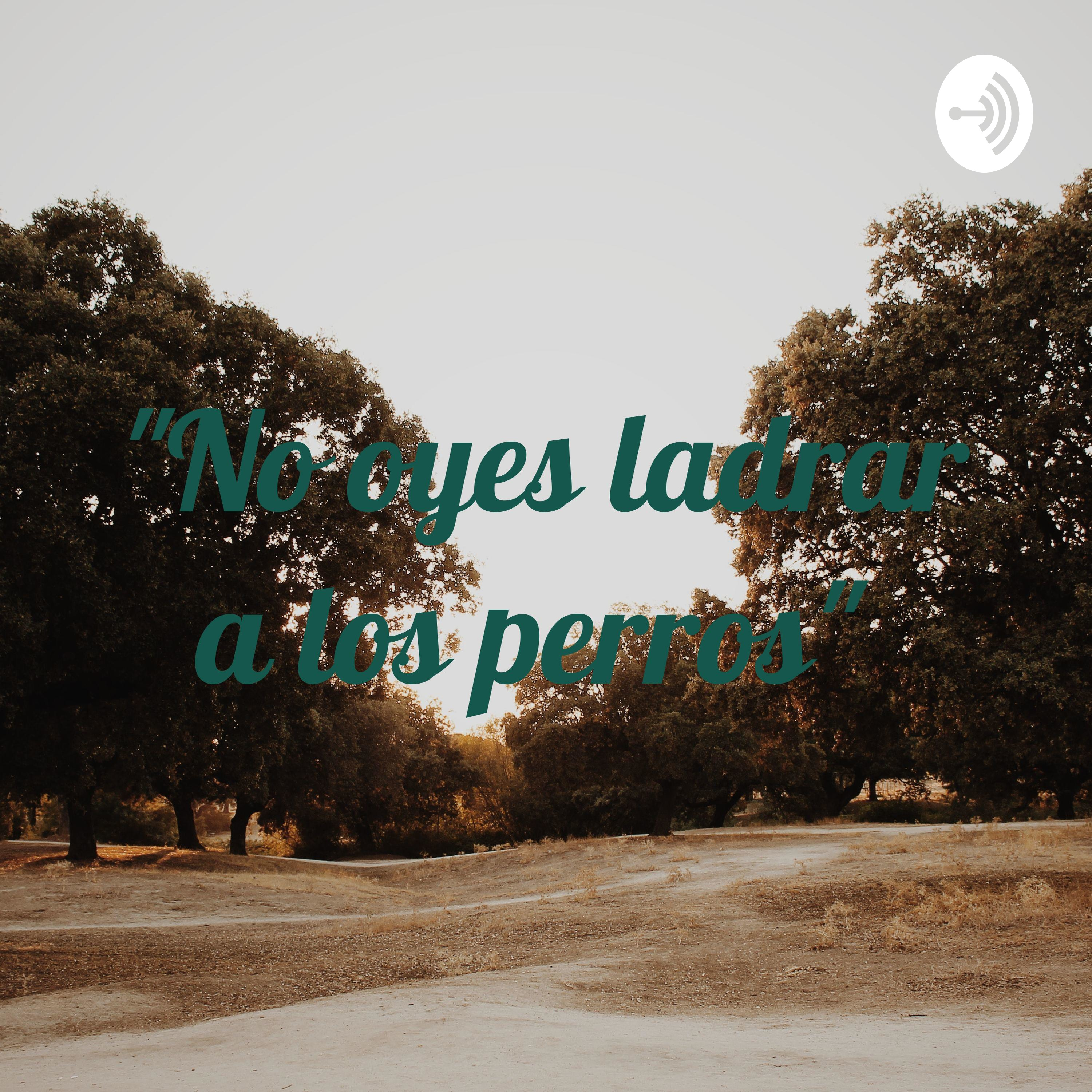 "No oyes ladrar a los perros"