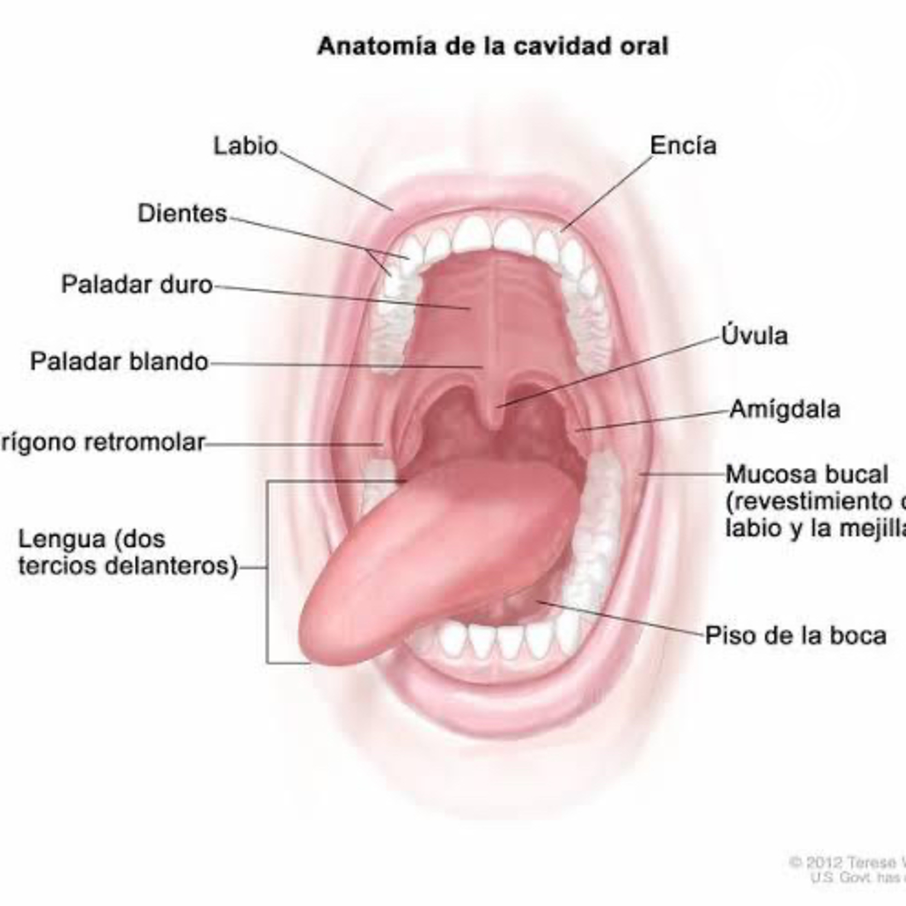 Aguilar Vázquez Mariana 
