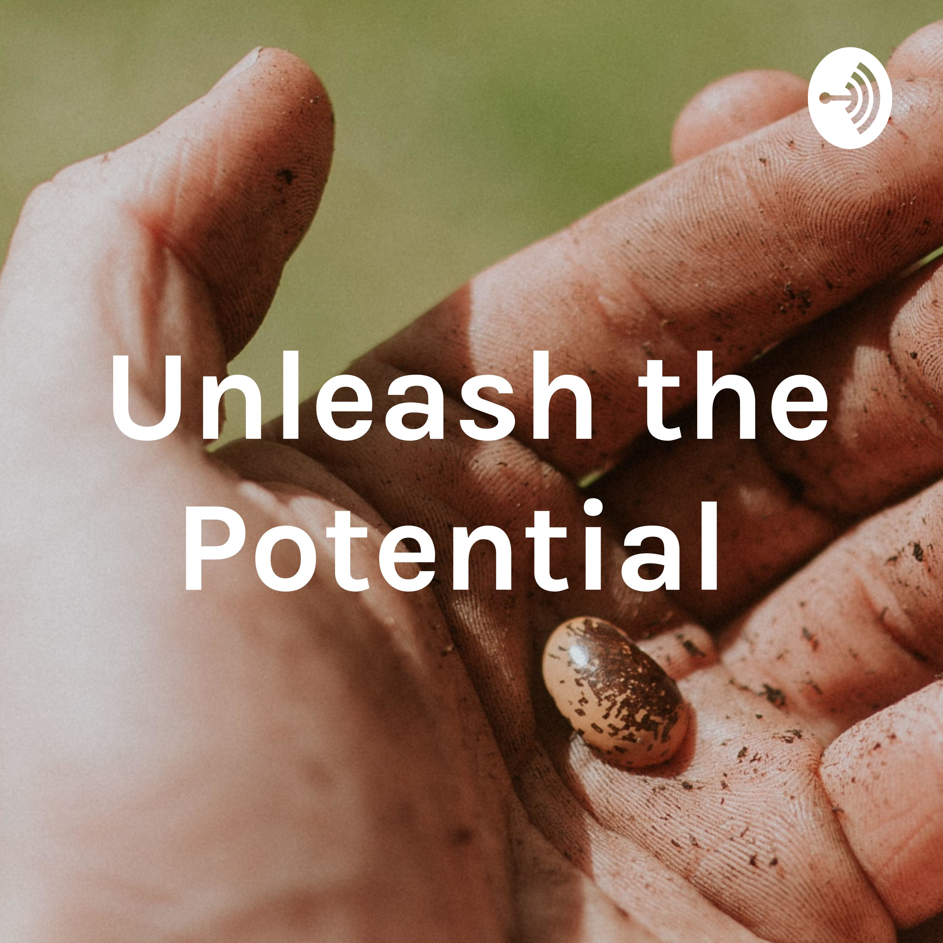 Unleash the Potential