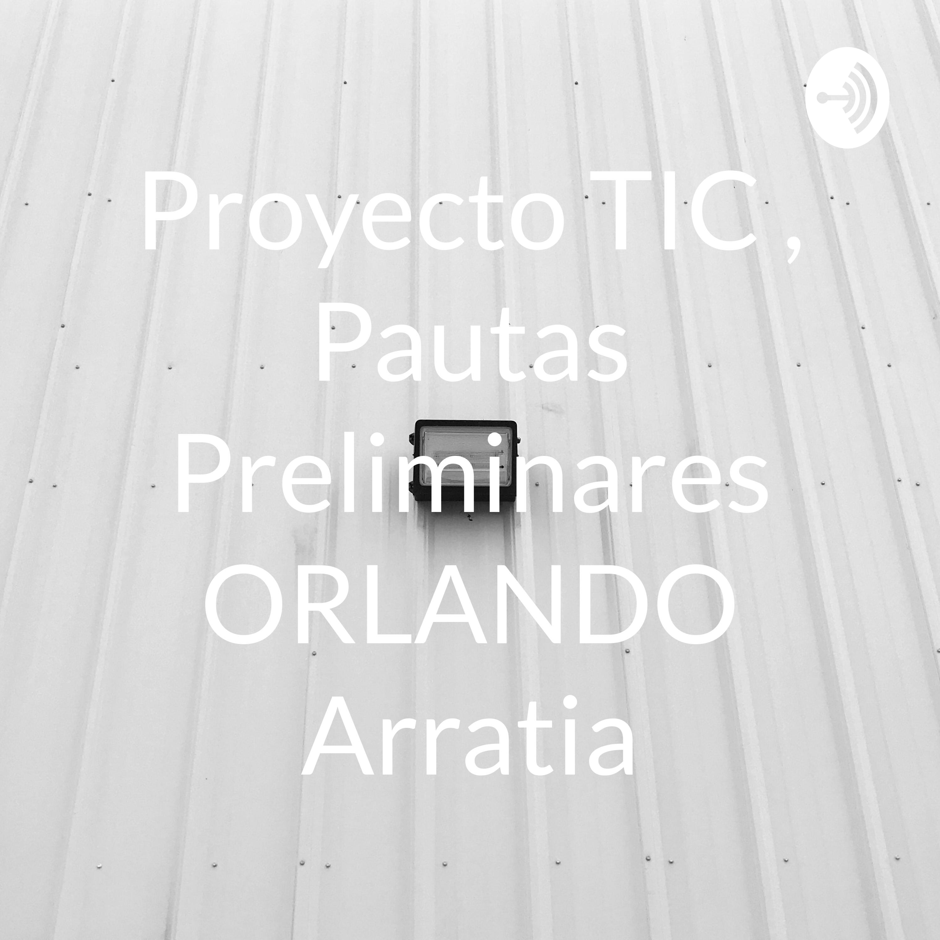 Proyecto TIC , Pautas Preliminares ORLANDO Arratia