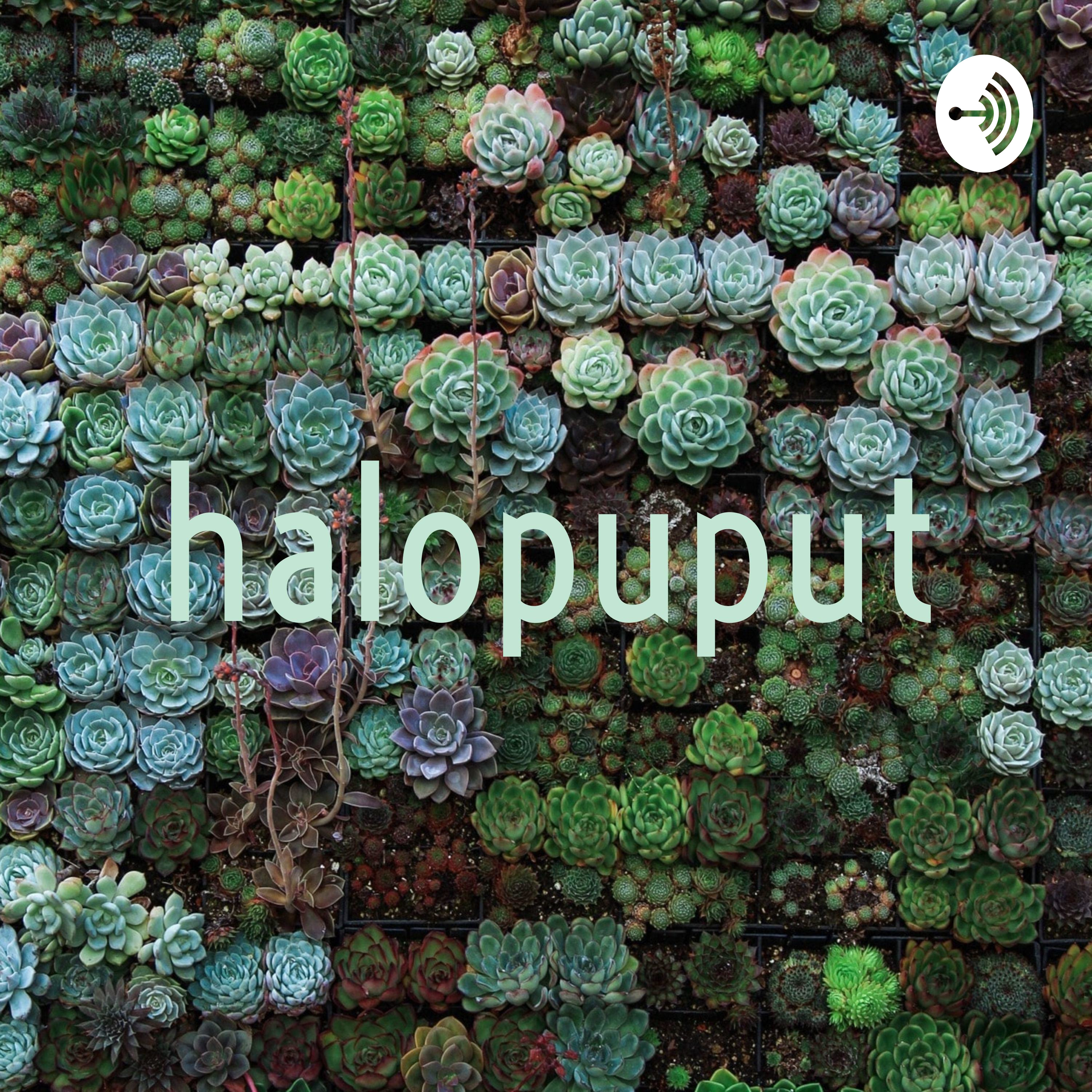 halopuput
