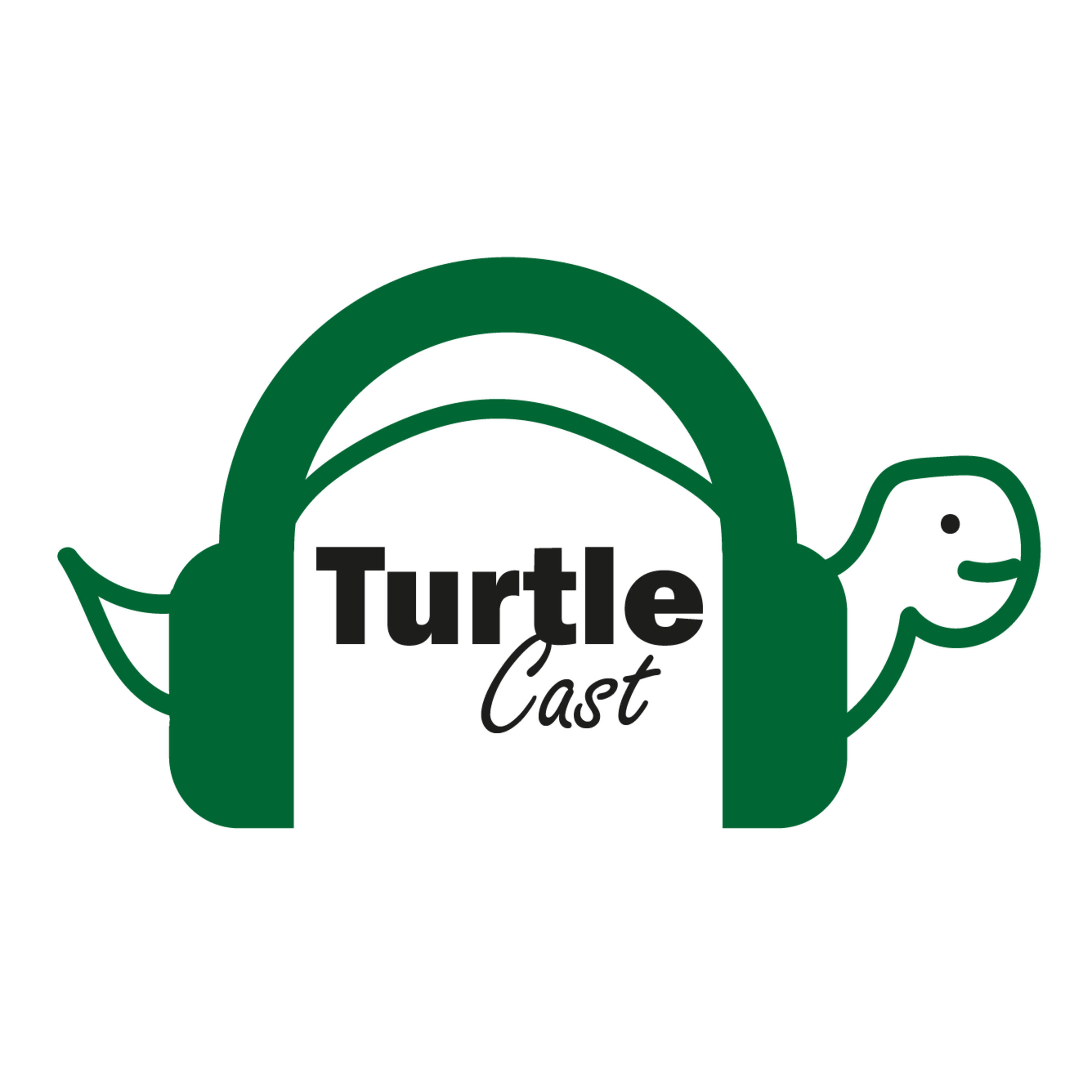 TurtleCast