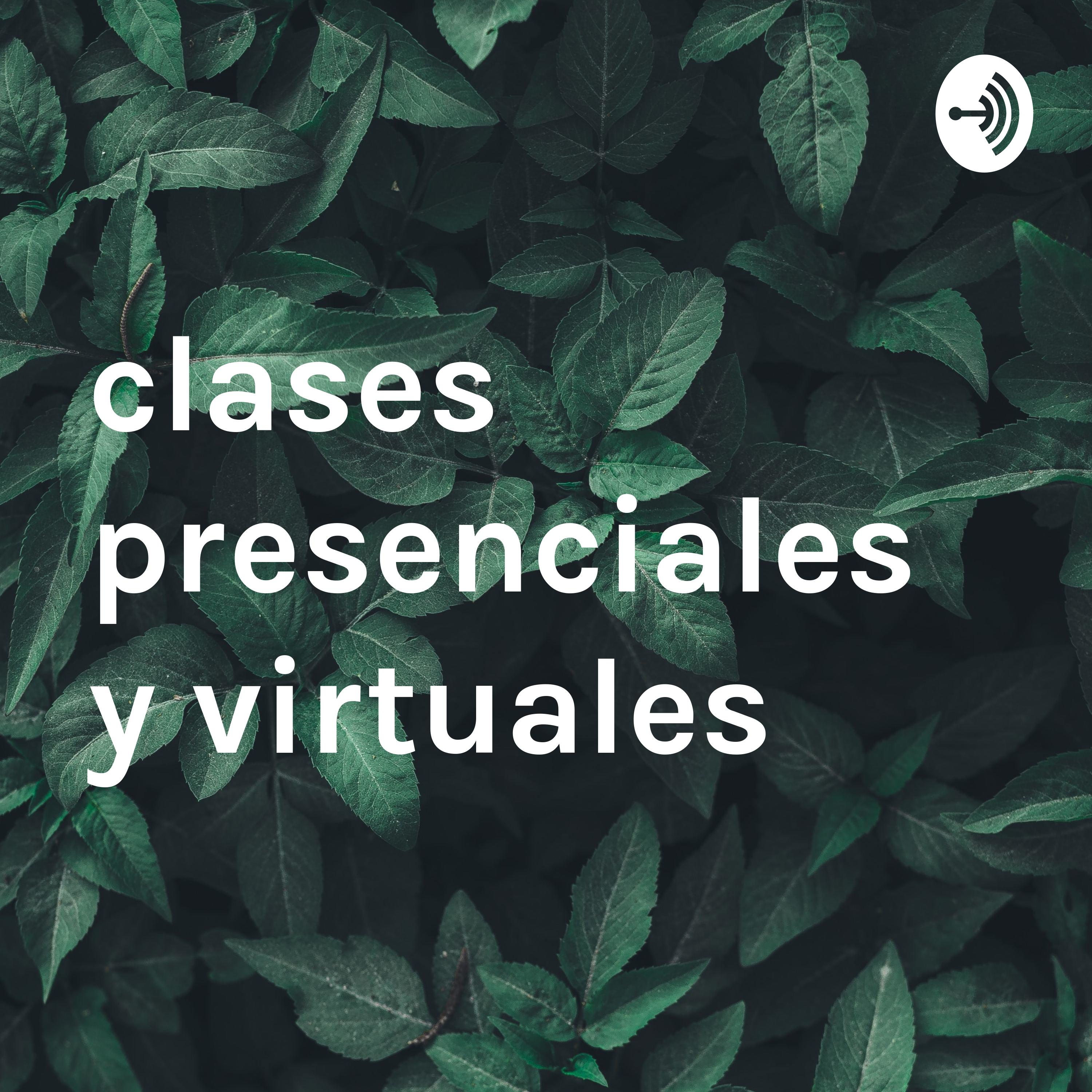 clases presenciales y virtuales