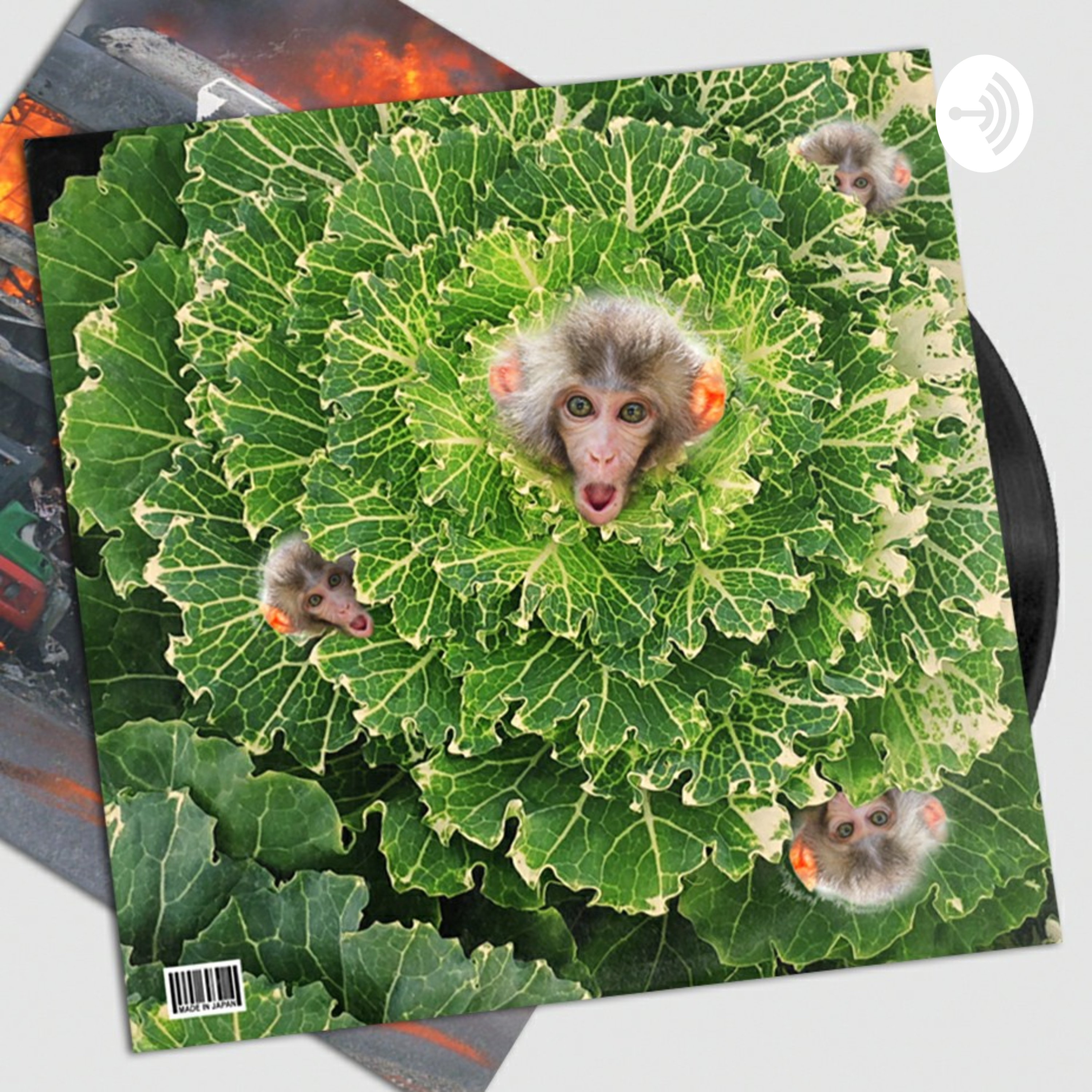 Salades de Primates podcast artwork