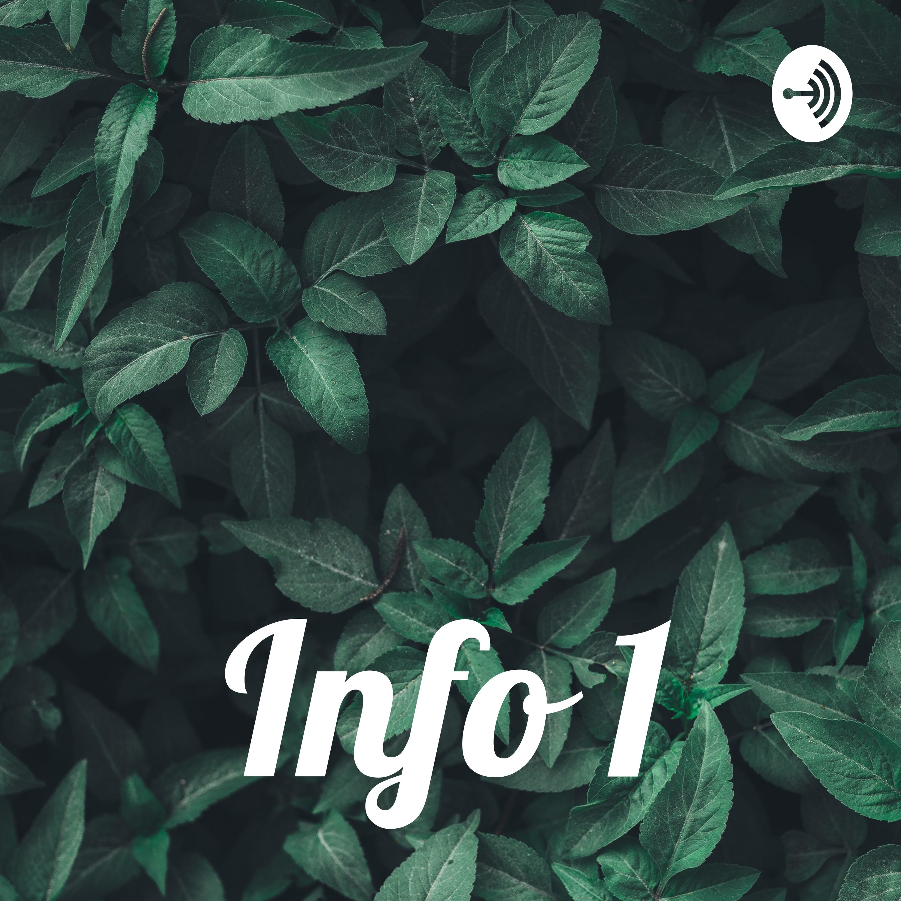 Info 1