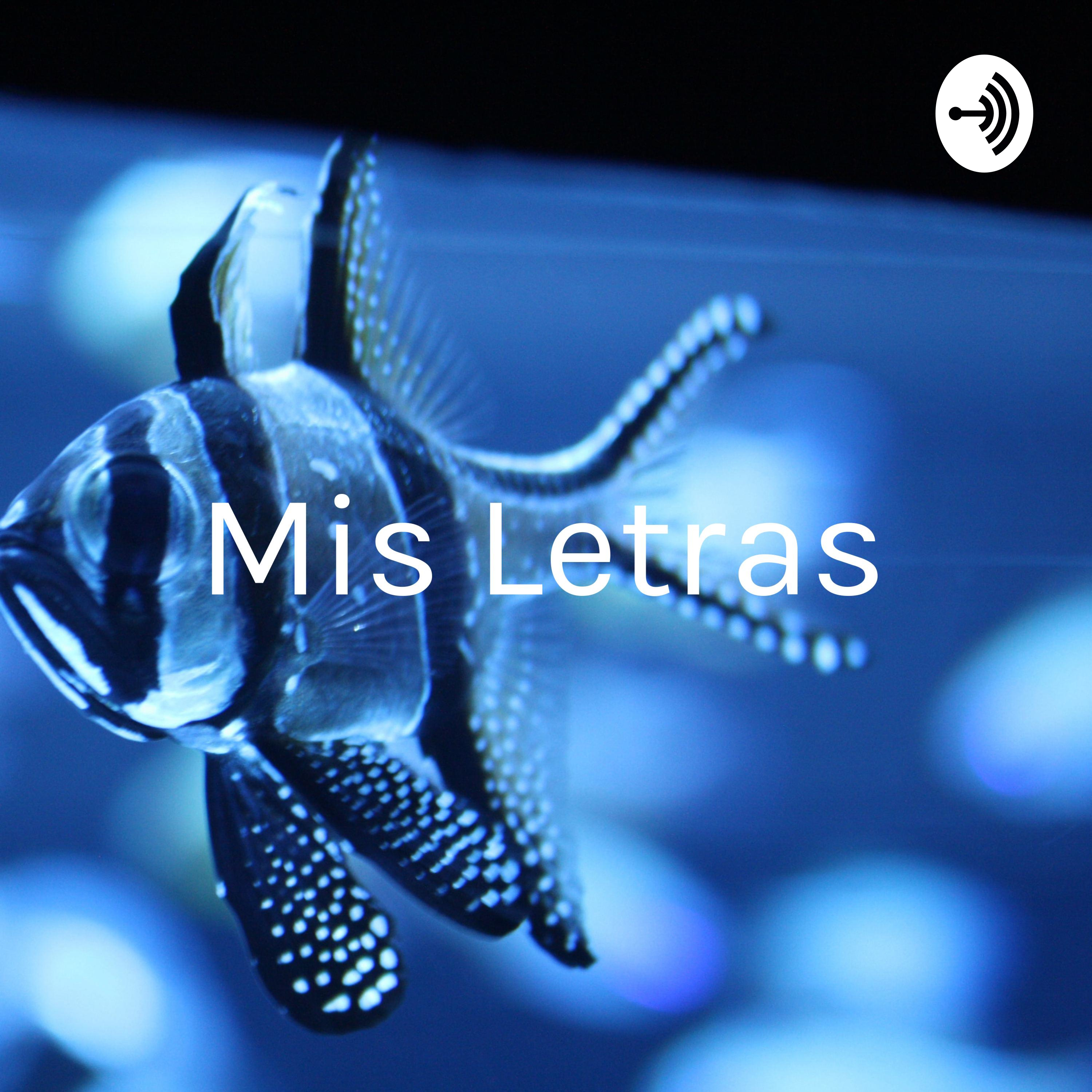 Mis letras, palabras y música