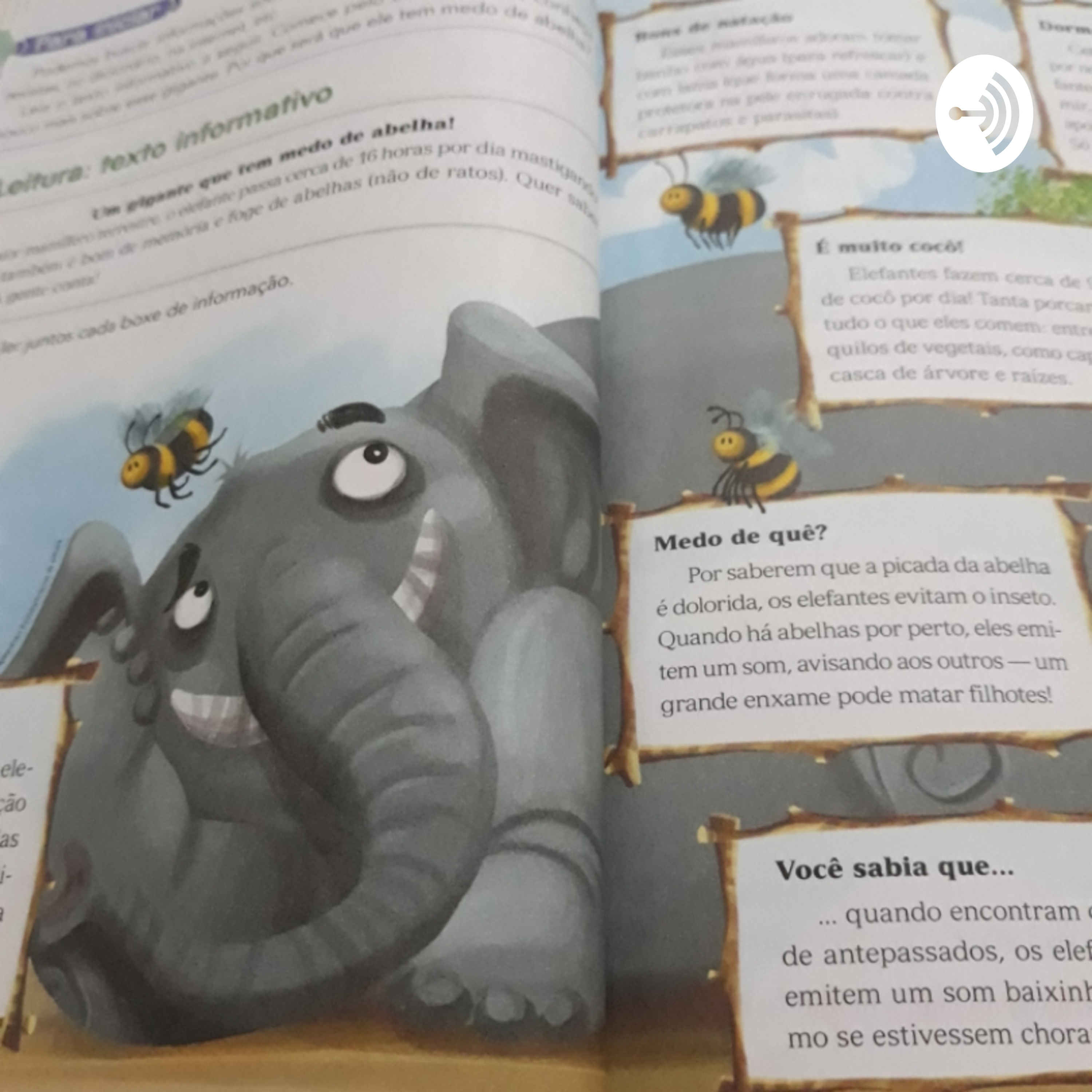 ELEFANTE / TEXTO INFORMATIVO 