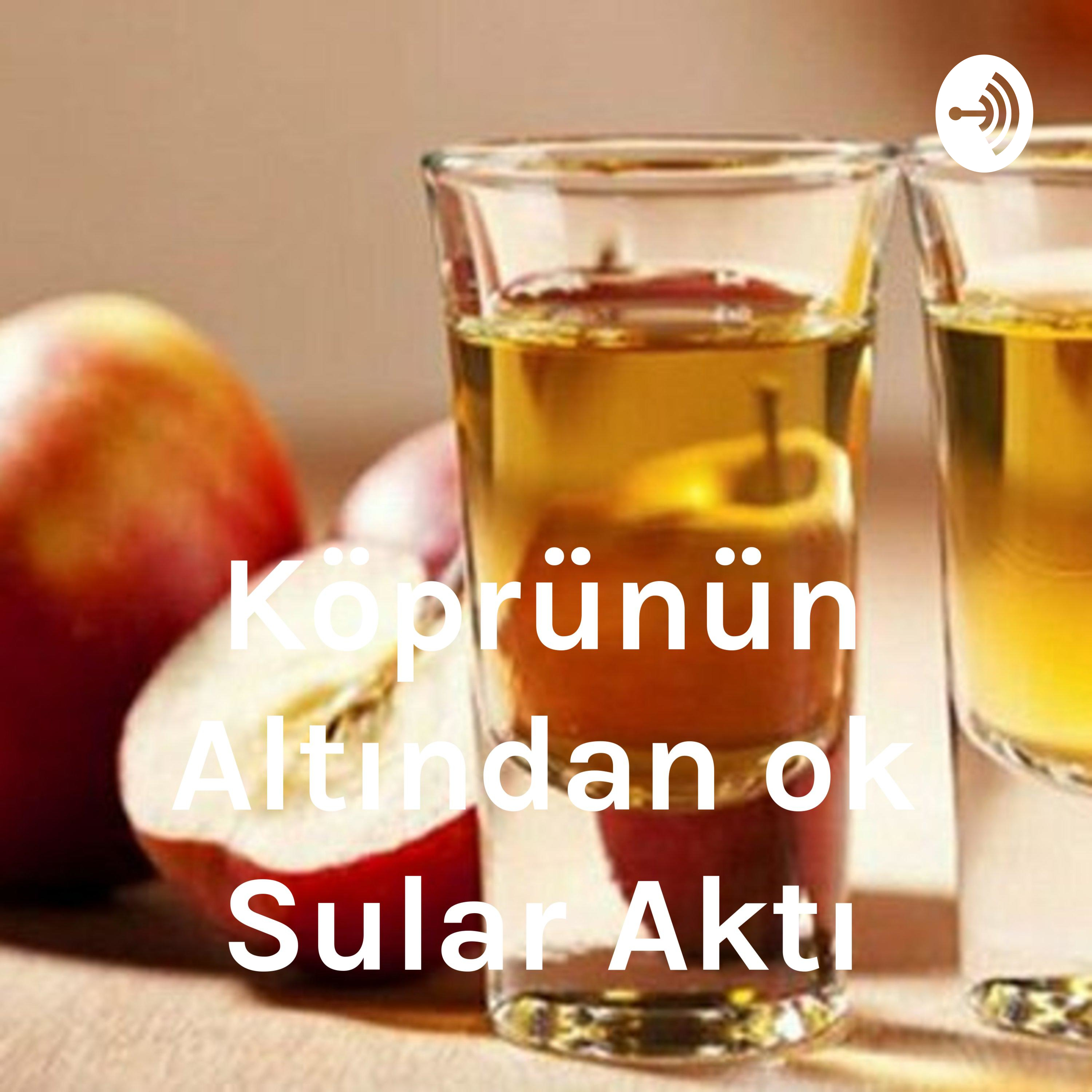 Köprünün Altından Çok Sular Aktı