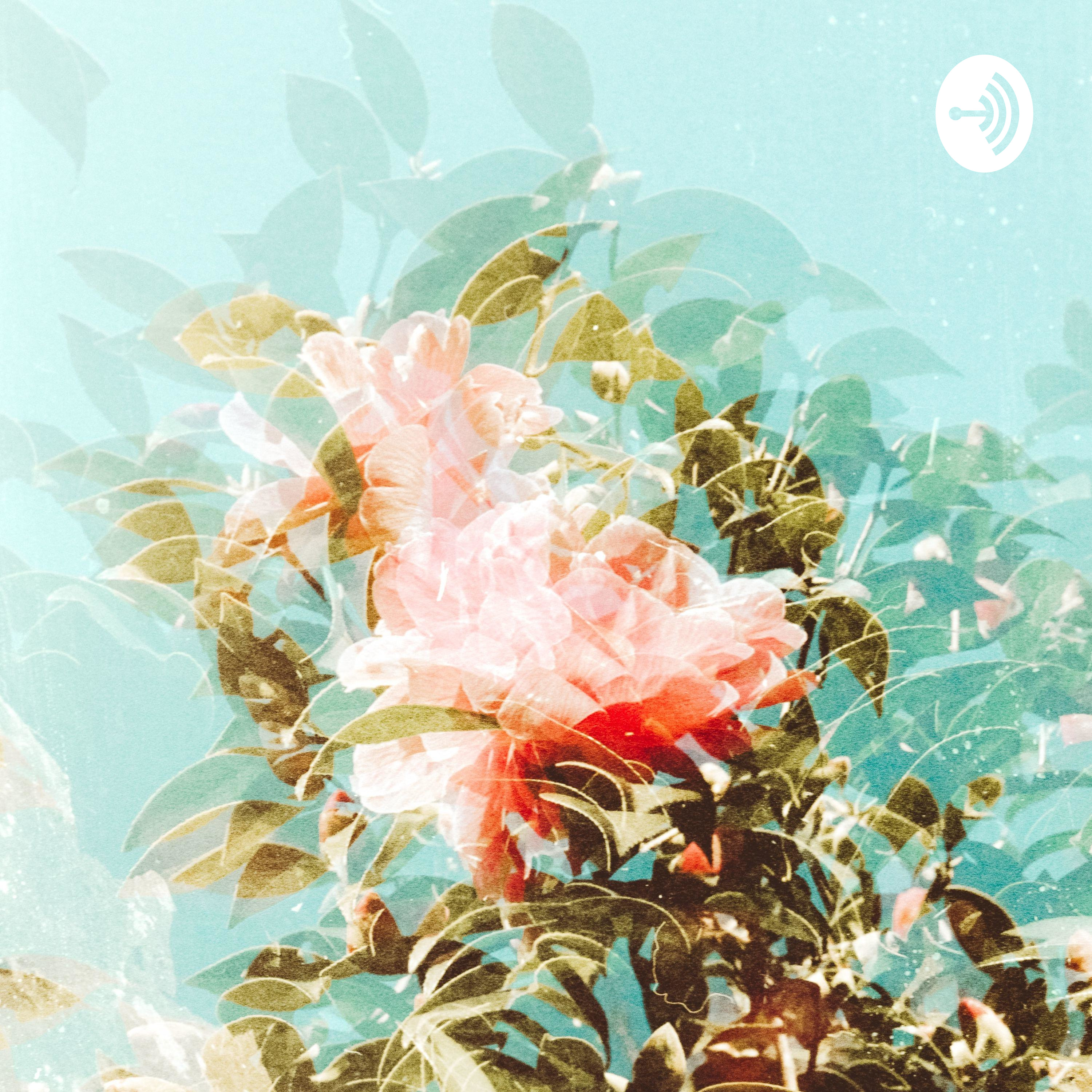 Shawna_therationalist