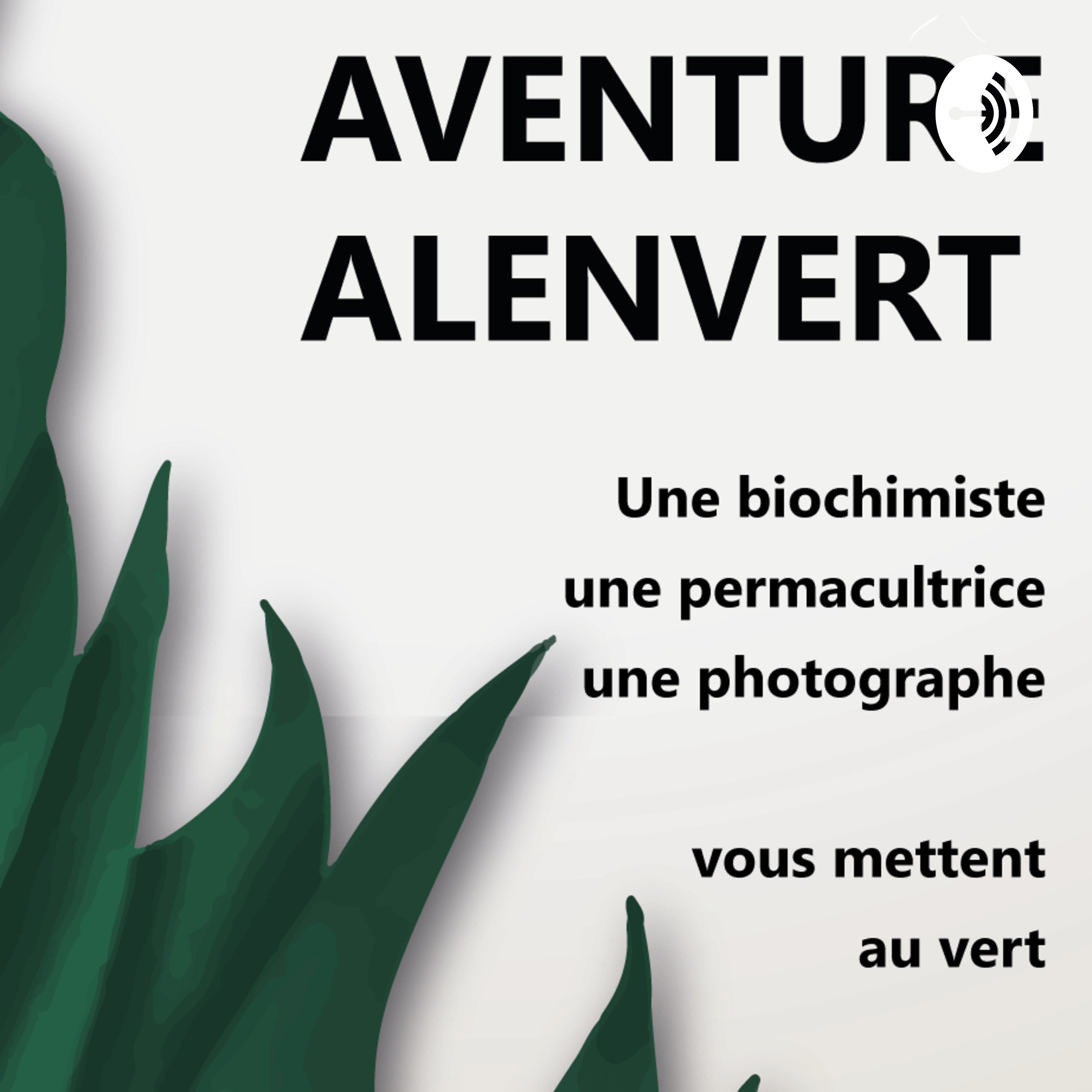 Aventure alenvert
