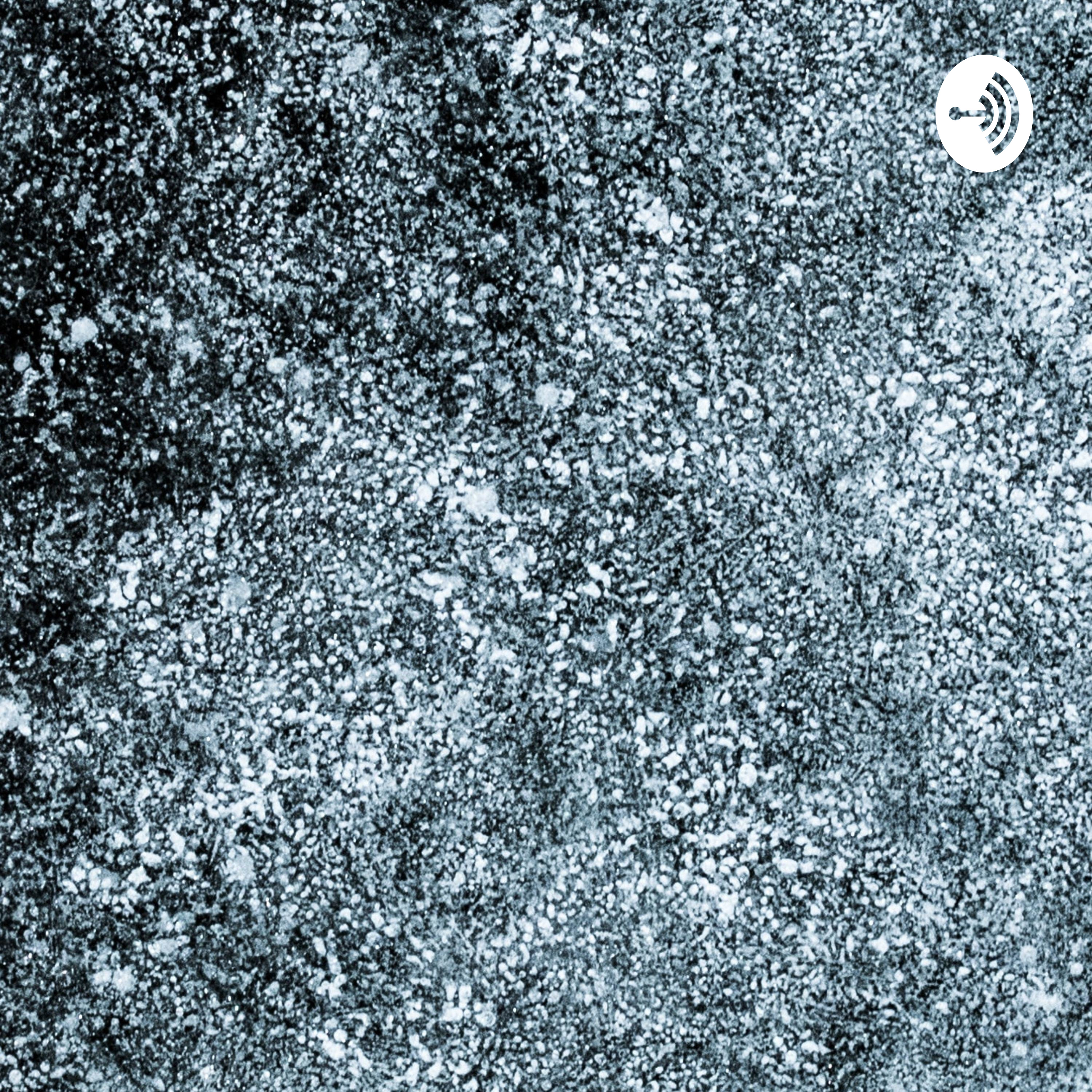 Programación básica