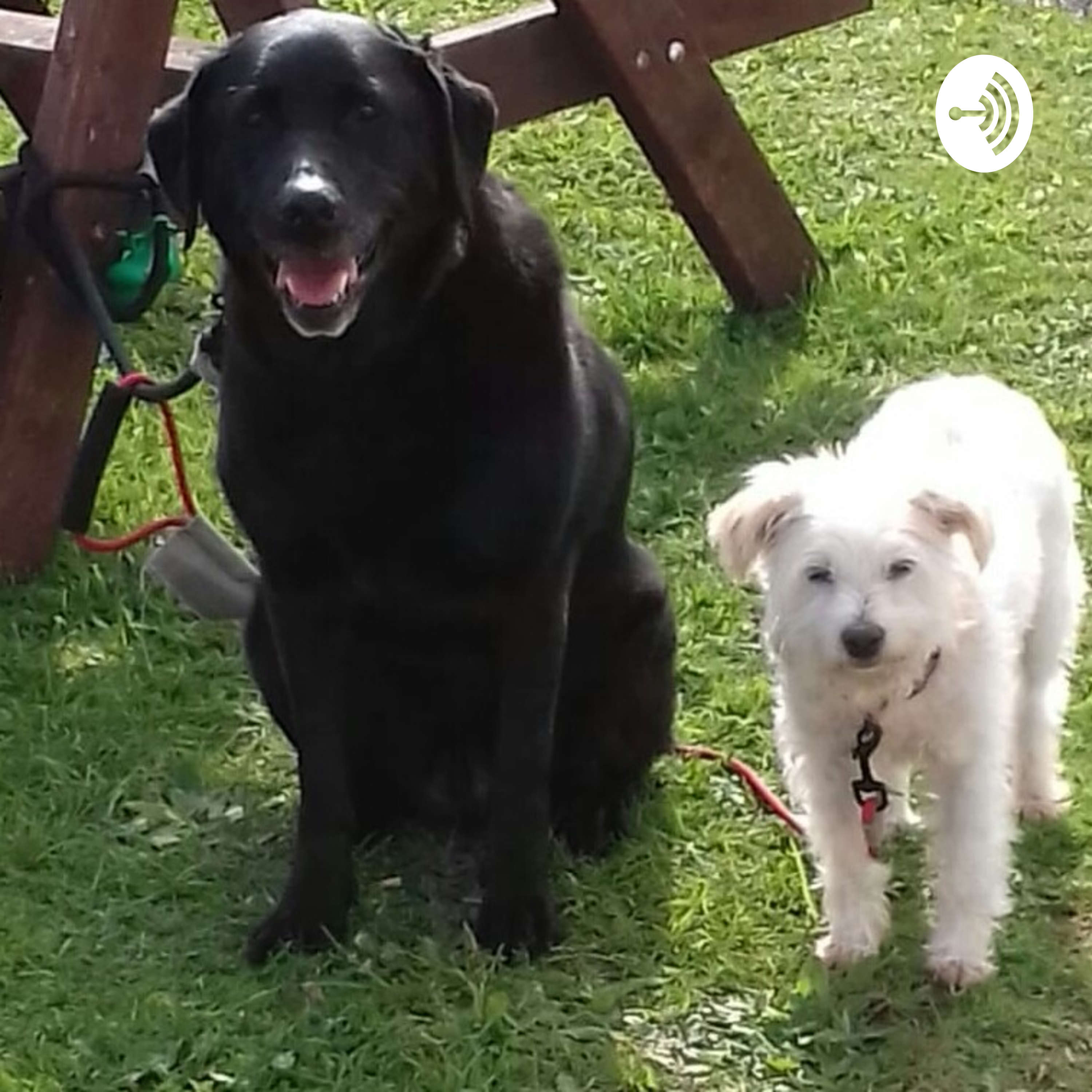 Jamie's footie predictions