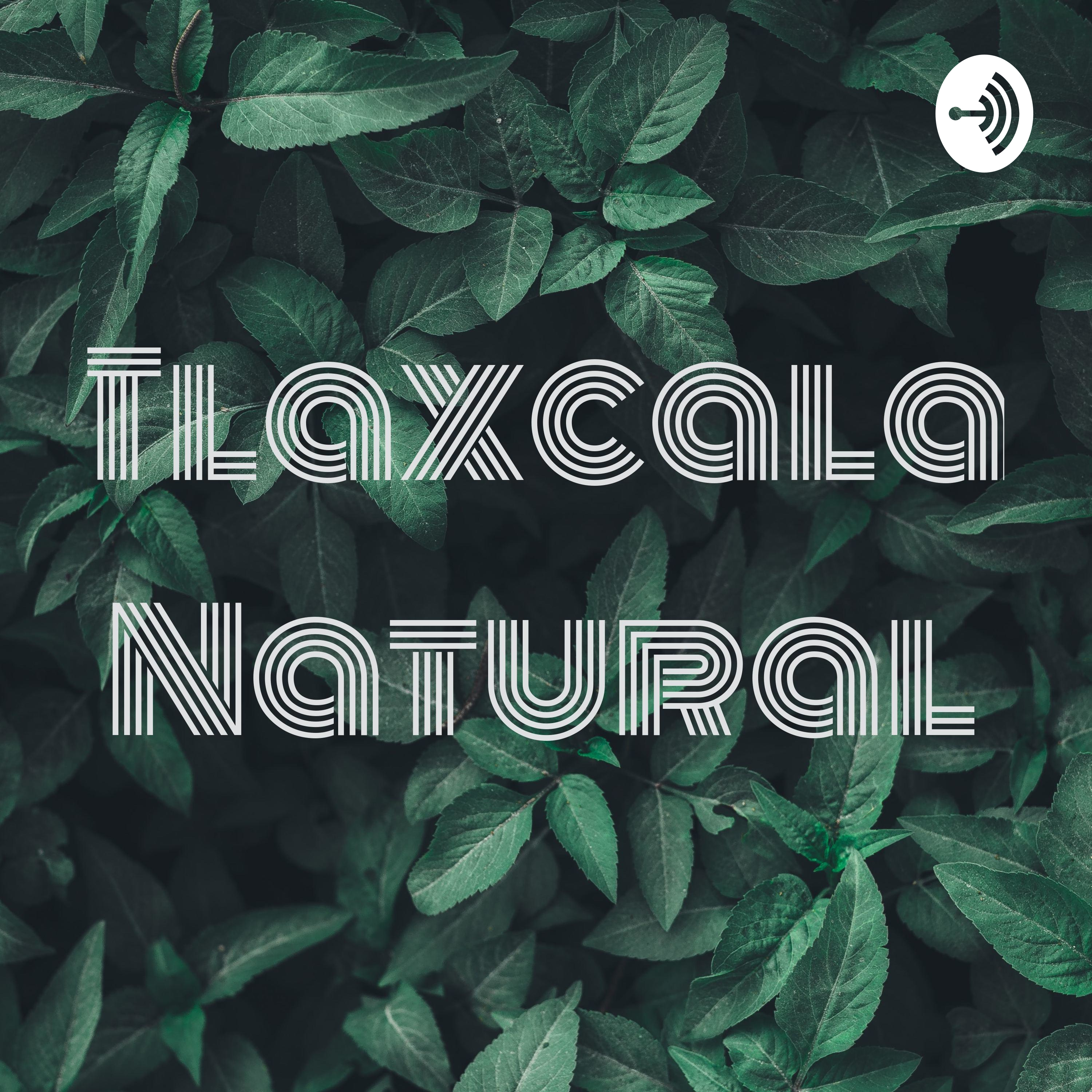 Tlaxcala Natural podcast artwork
