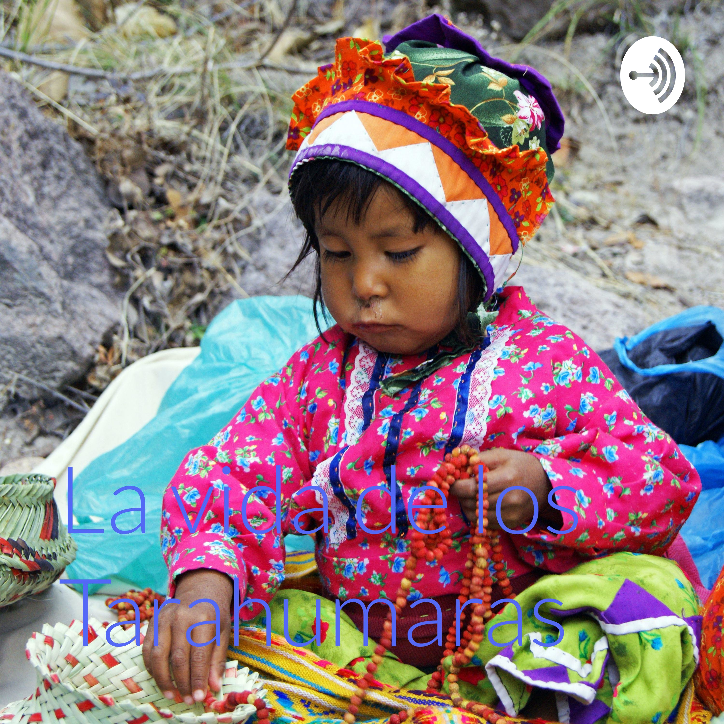 La vida de los Tarahumaras 