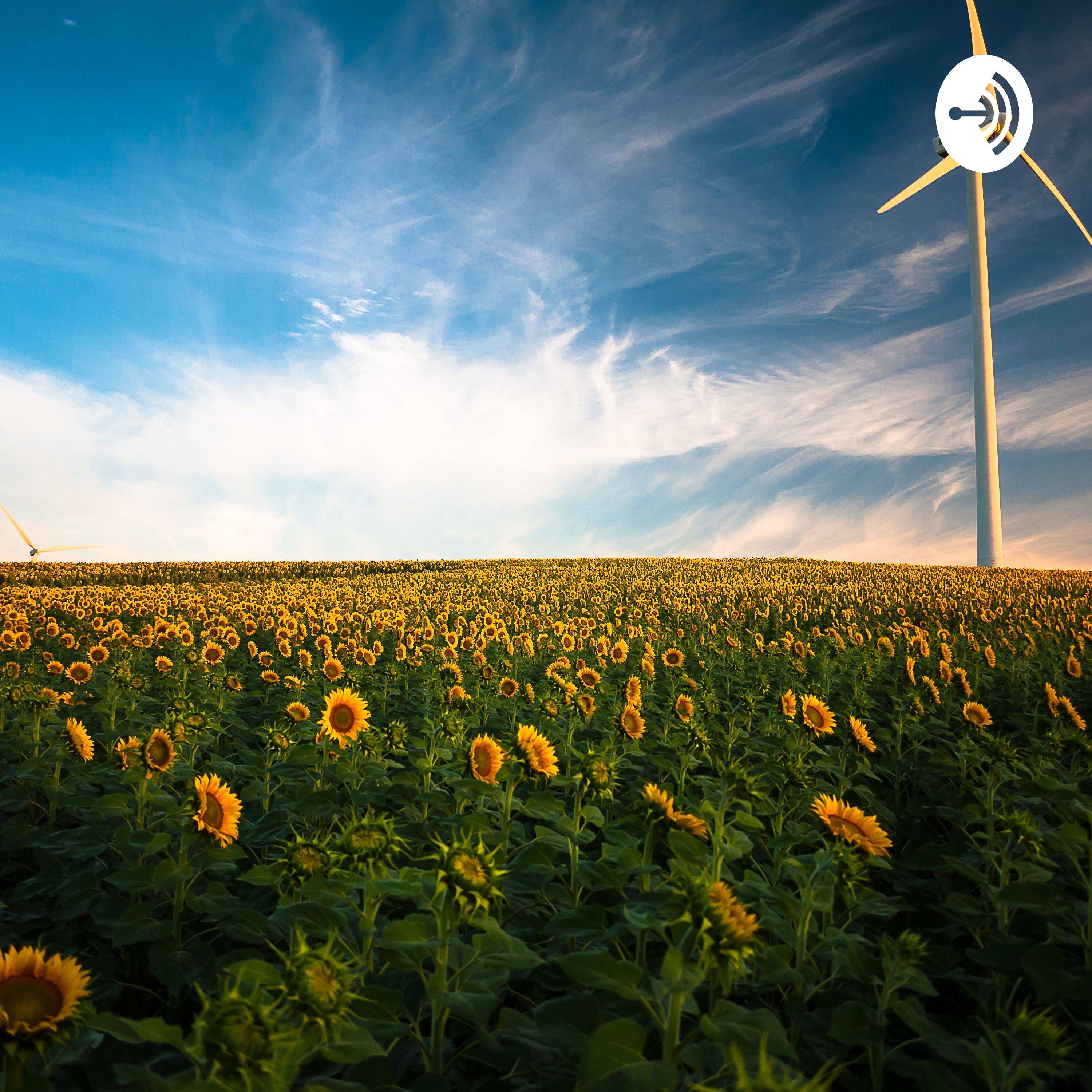How We Affect the Environment 