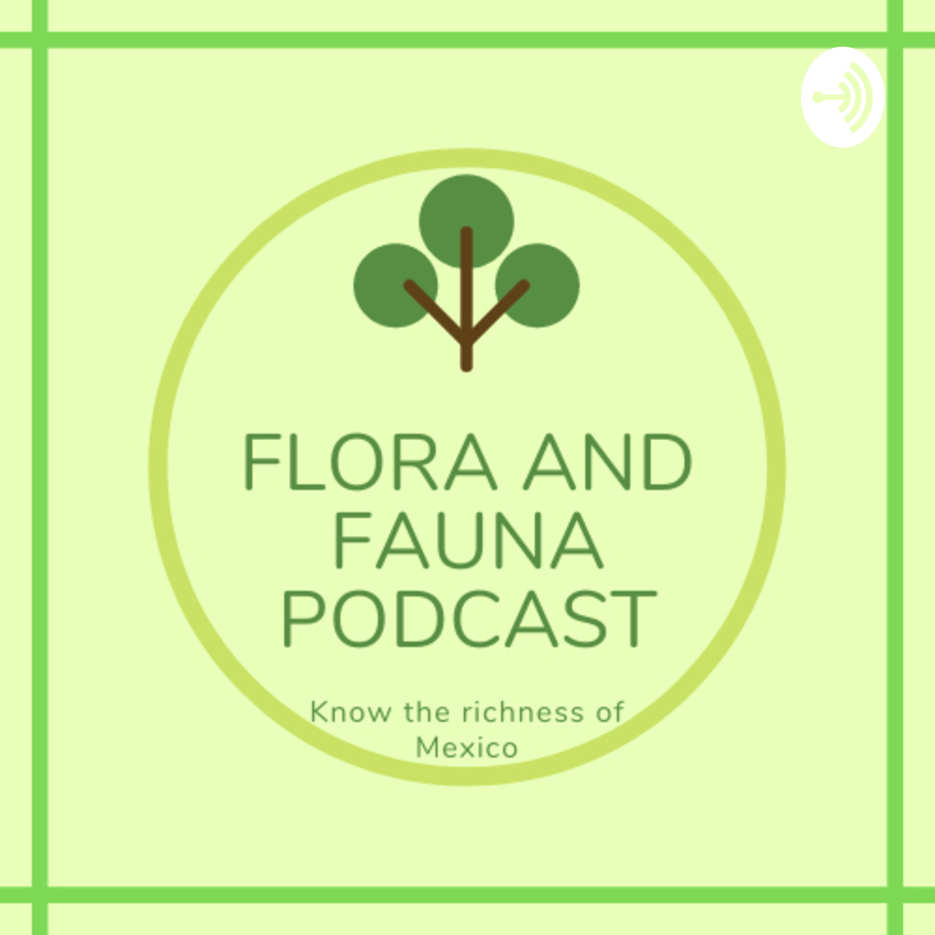 Flora and Fauna in Mexico