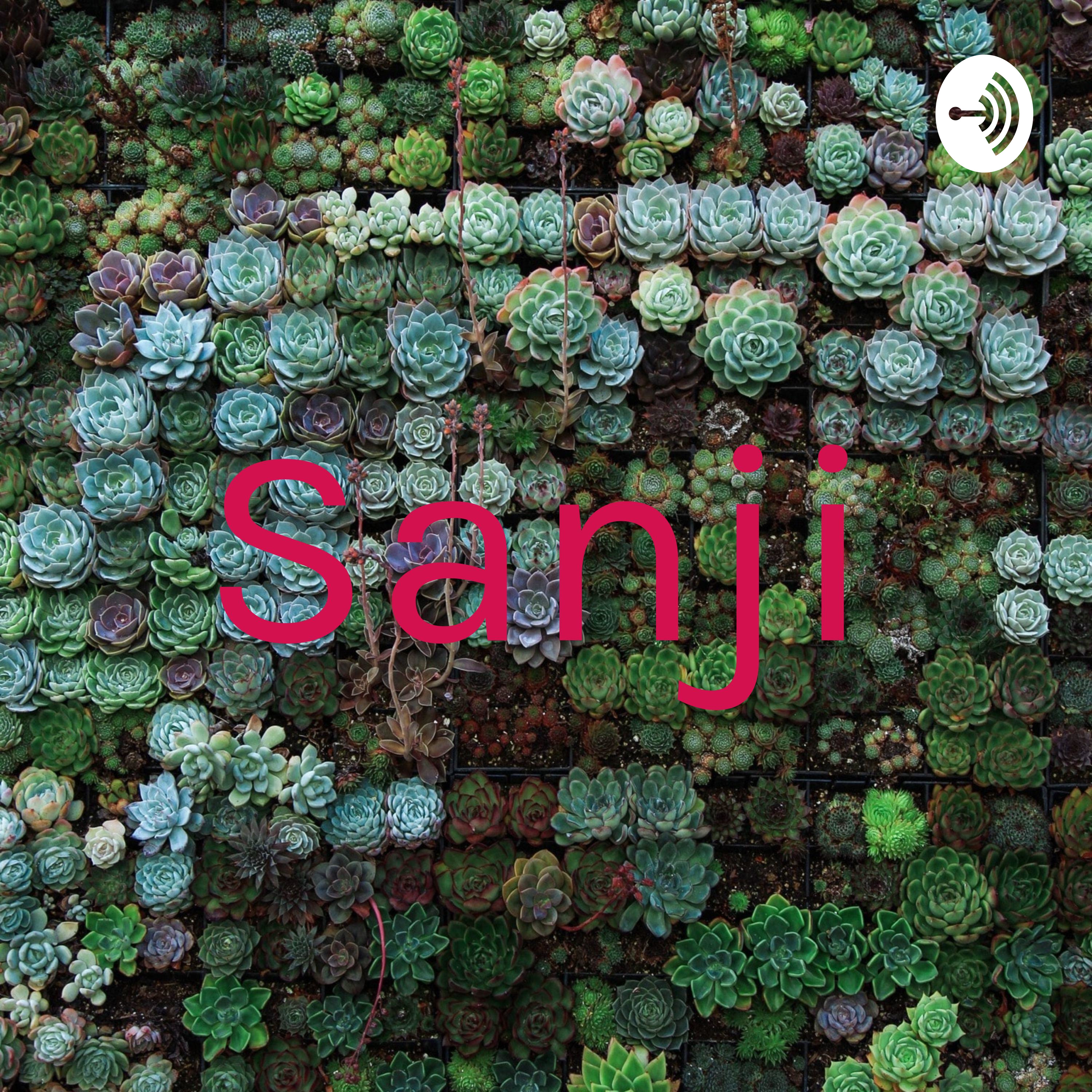 Sanji podcast artwork