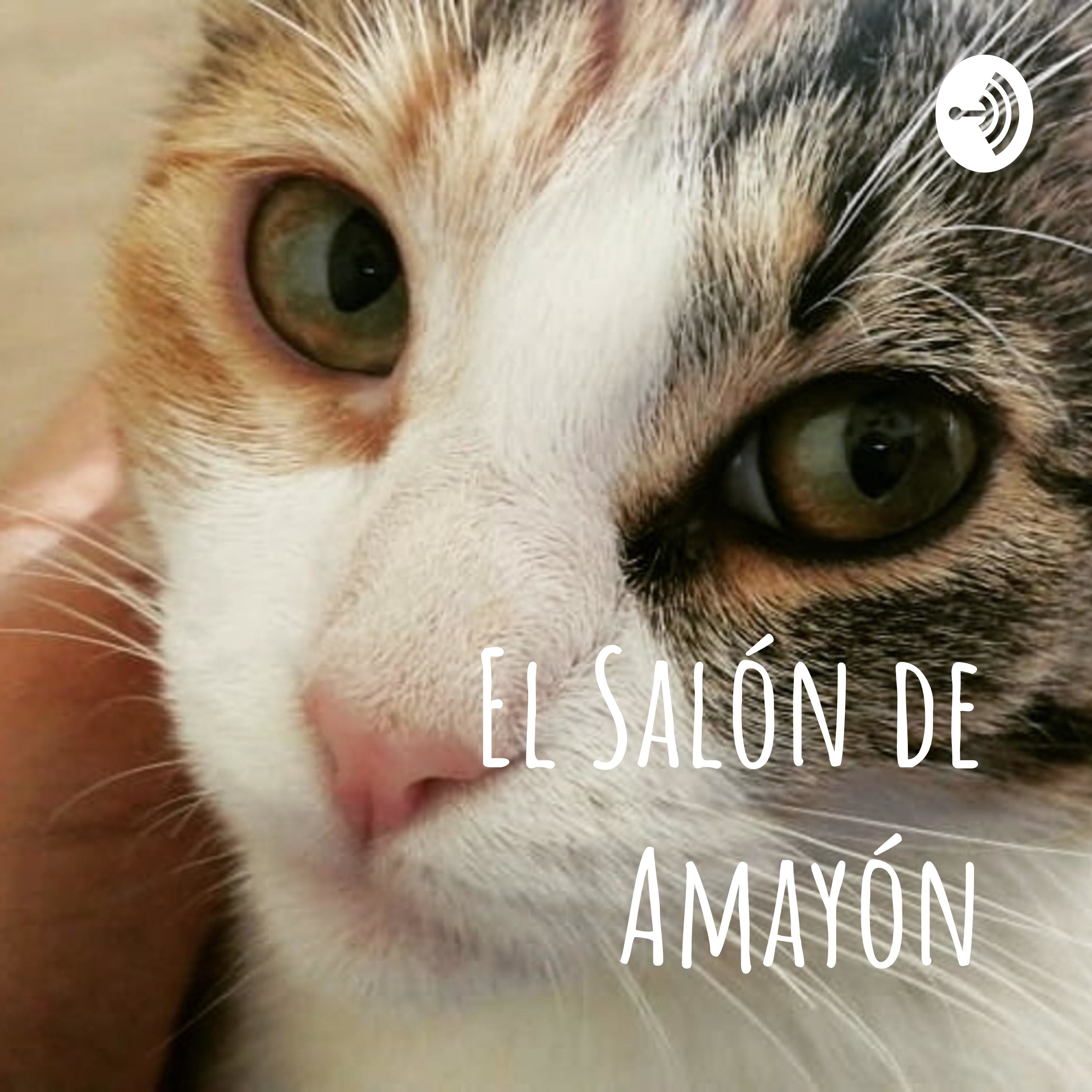 El Salón de Amayón