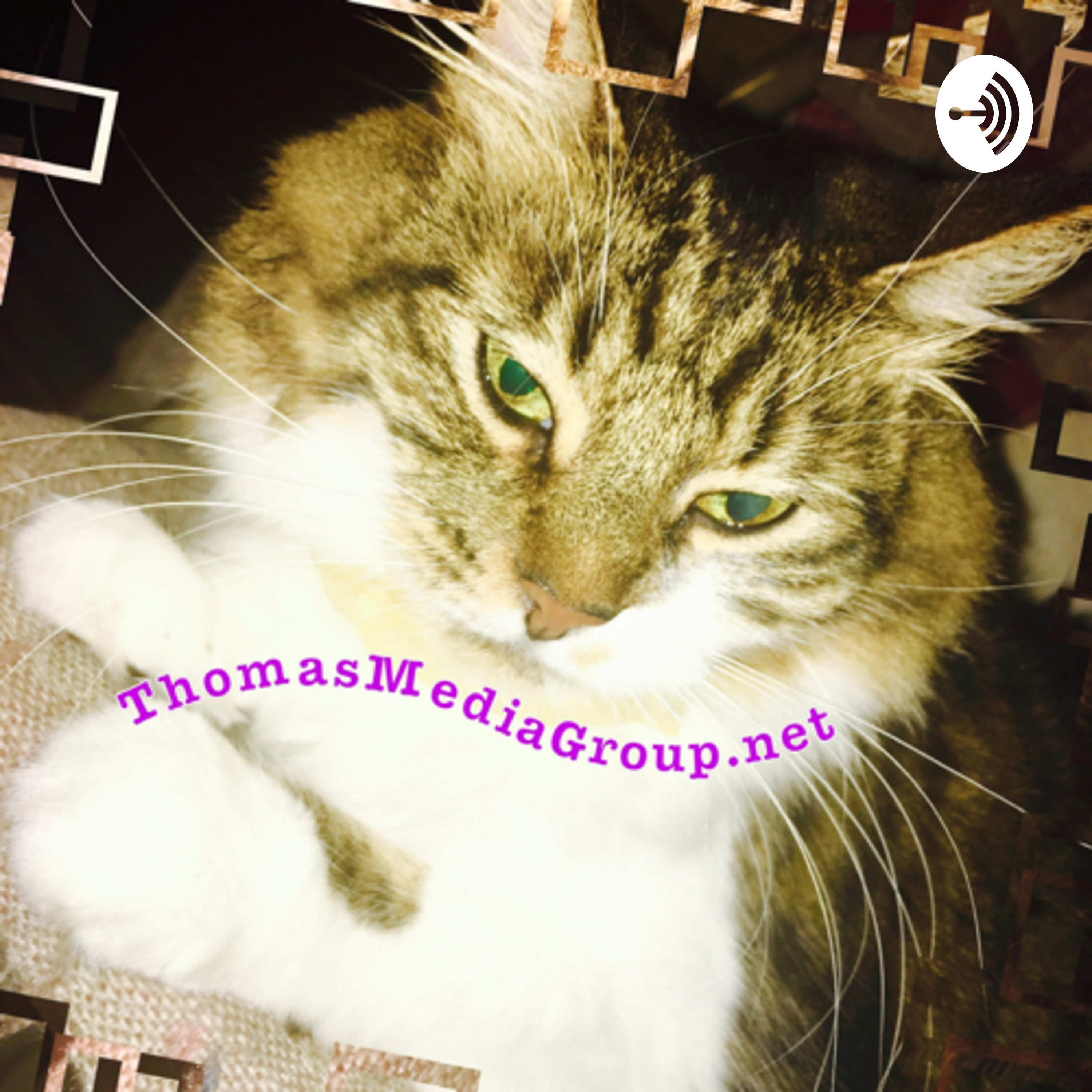 Thomas Thomas MediaTv