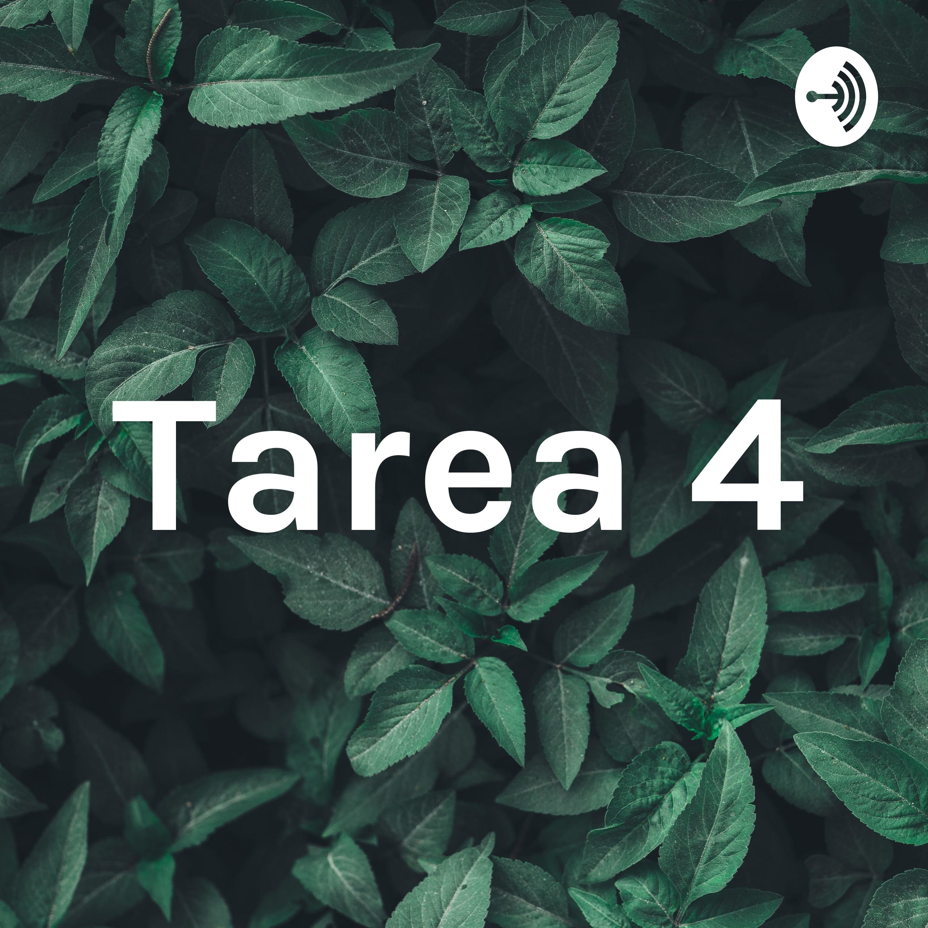 Tarea 4