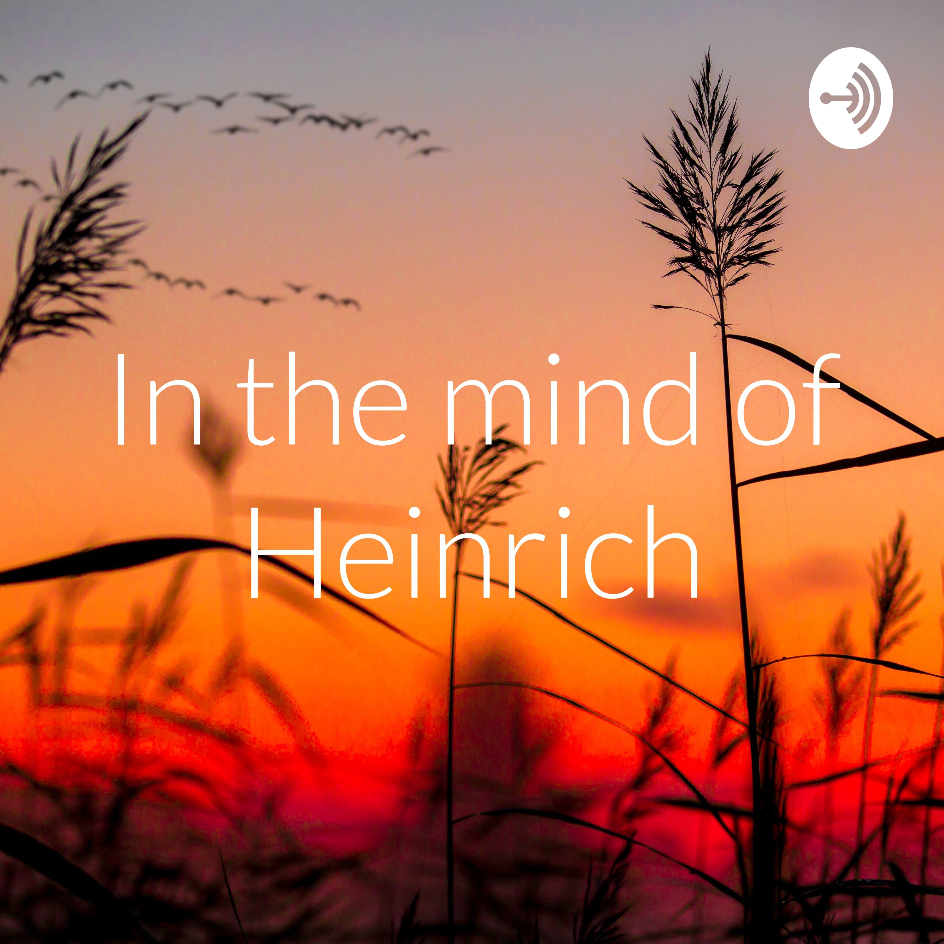 In the mind of Heinrich