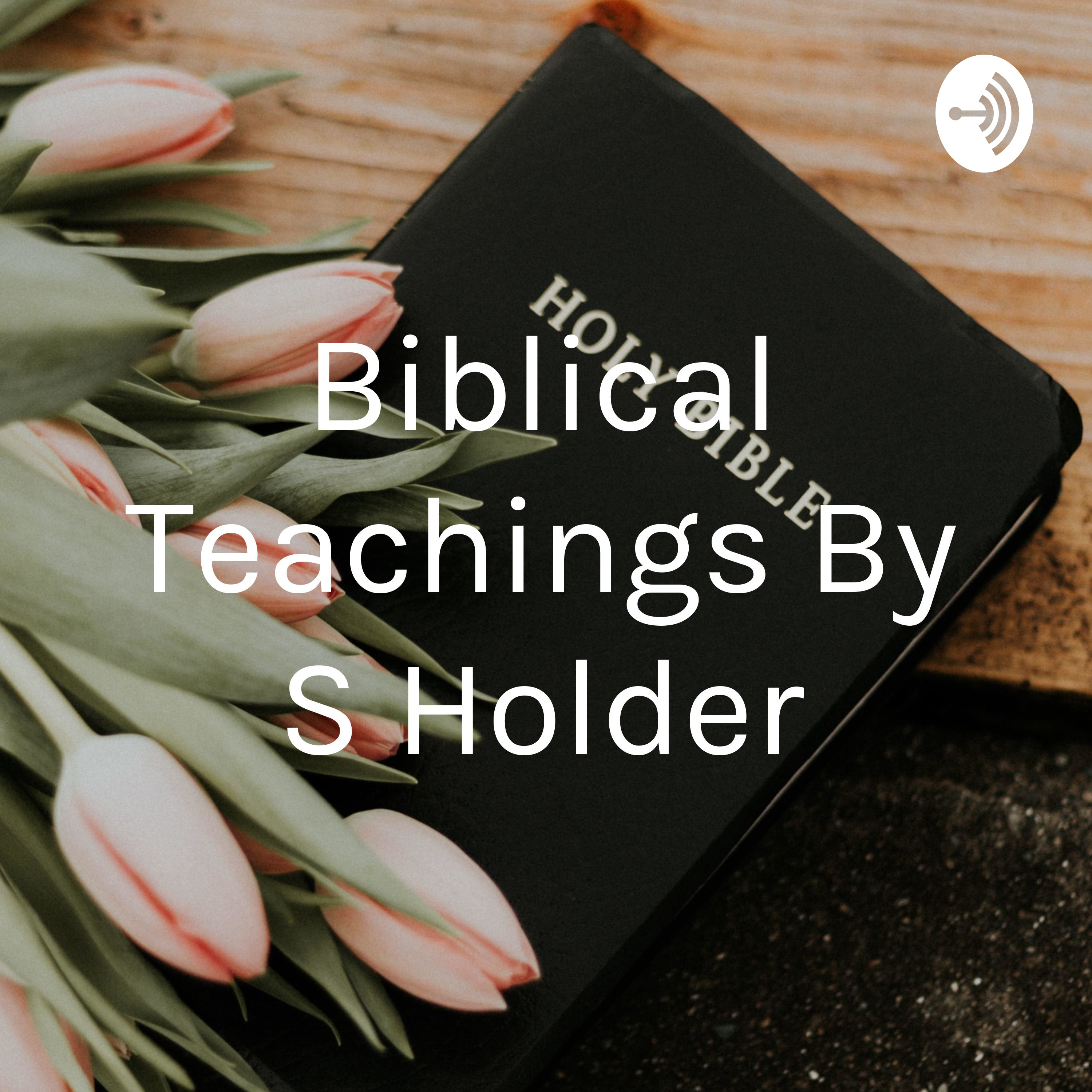 Biblical Teachings By S Holder