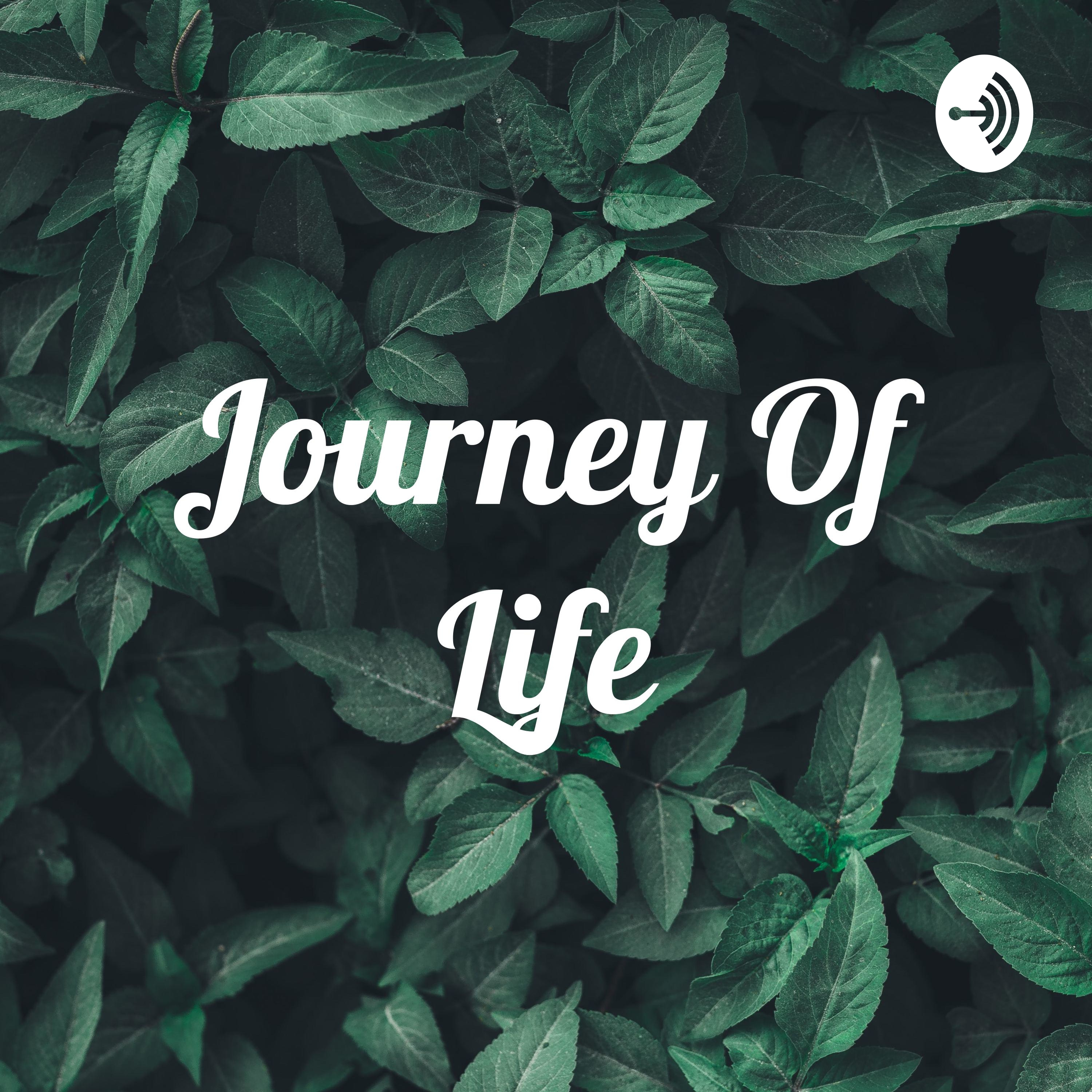 Journey Of Life