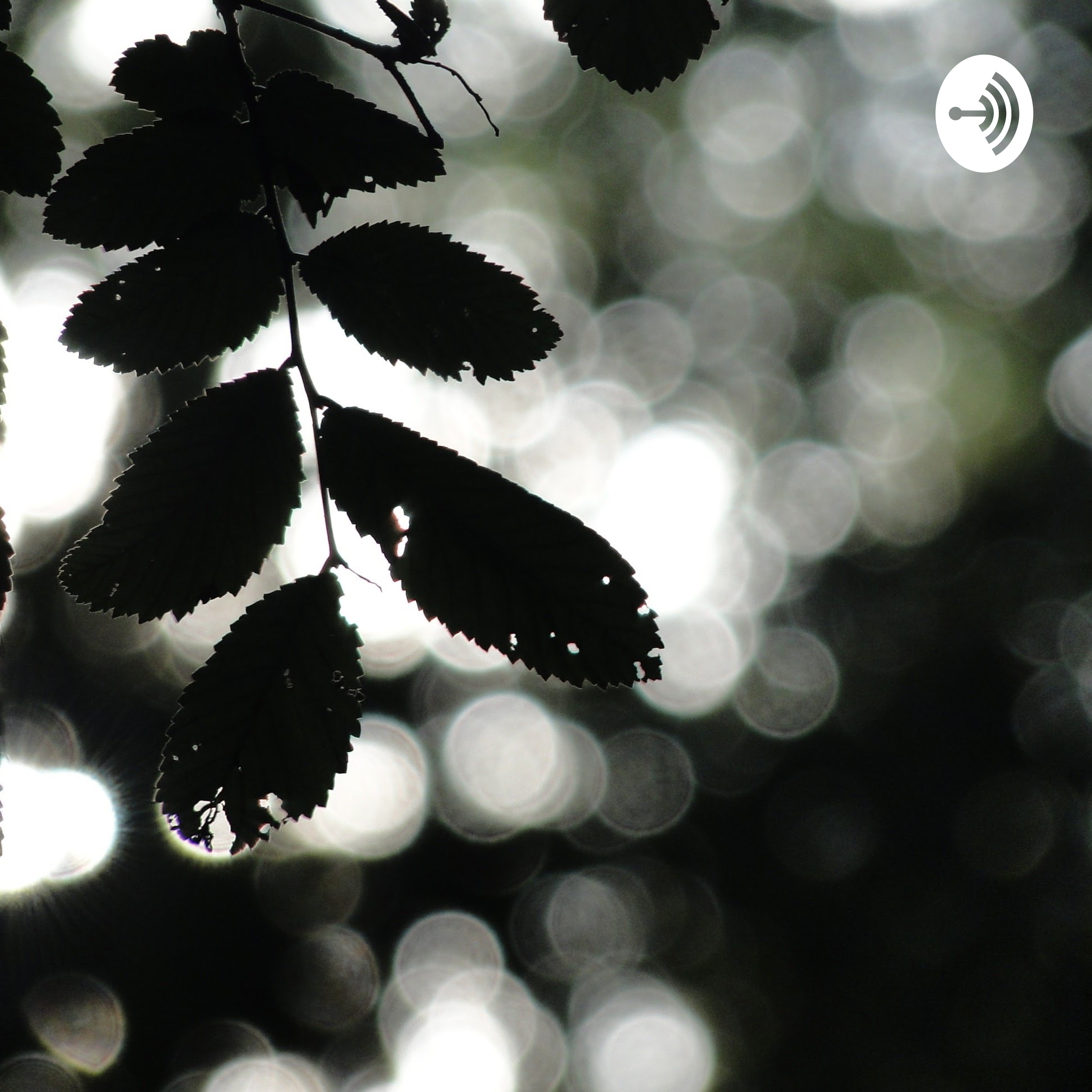 Fallen Autumn 🍁 podcast artwork