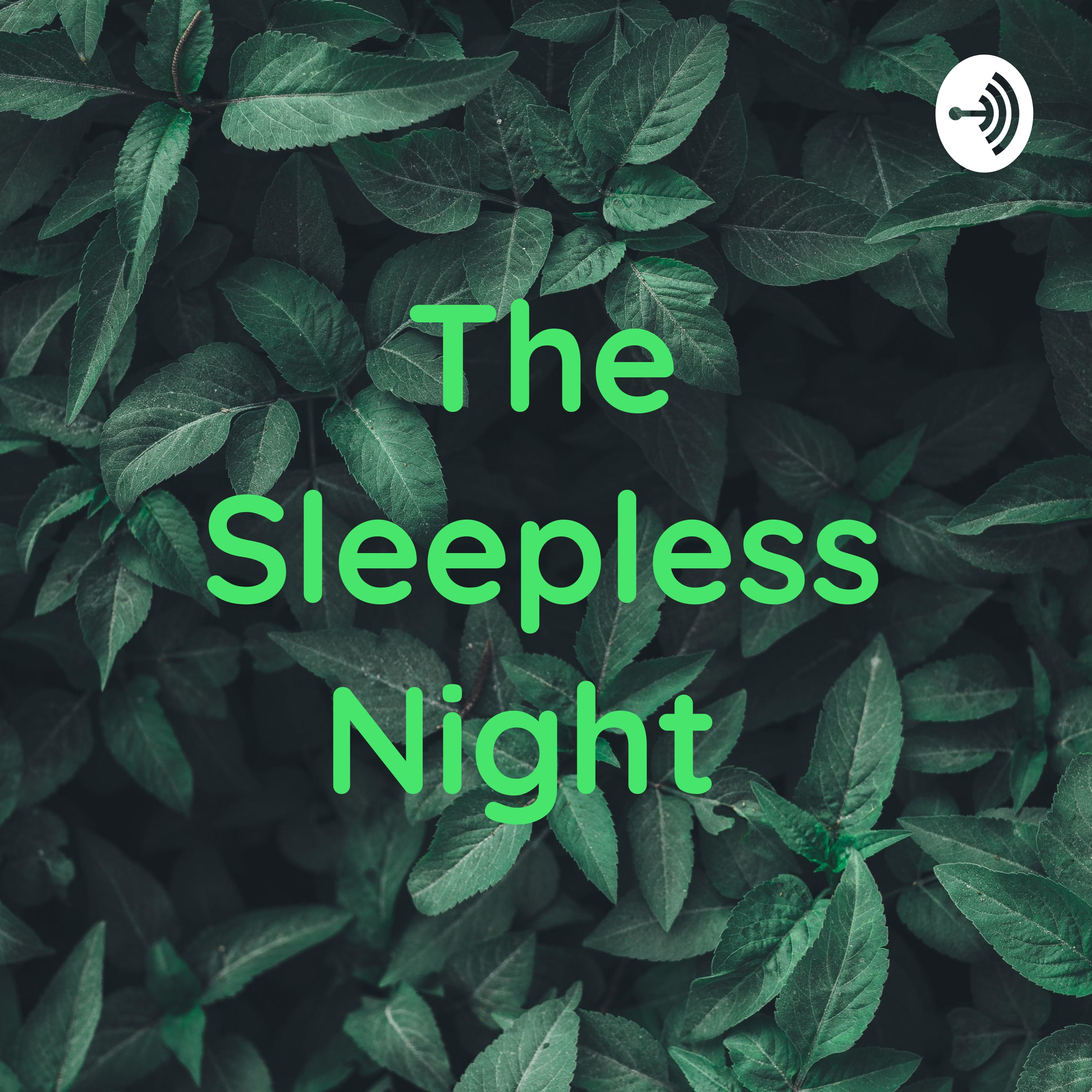 The Sleepless Night 