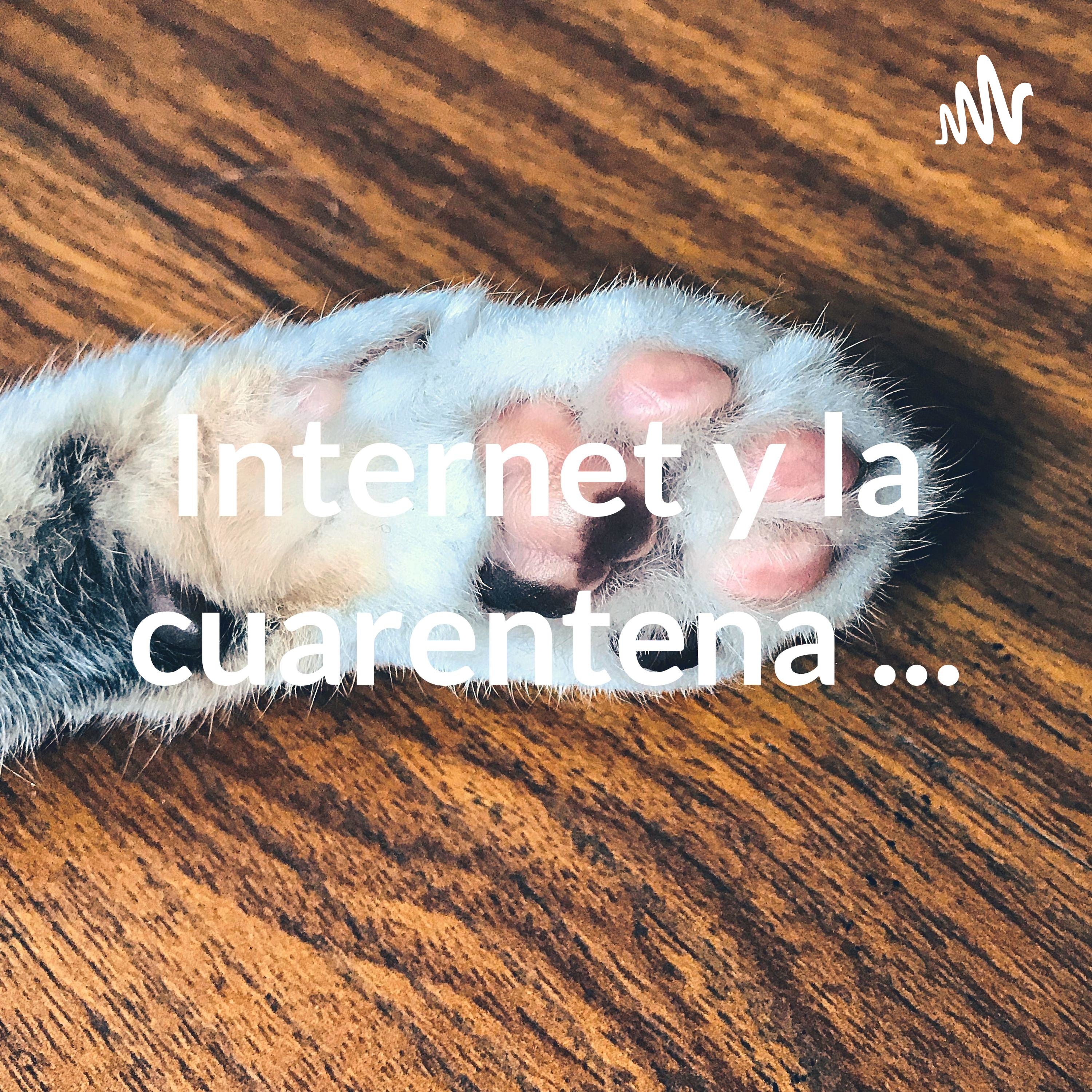 Internet y la cuarentena ...