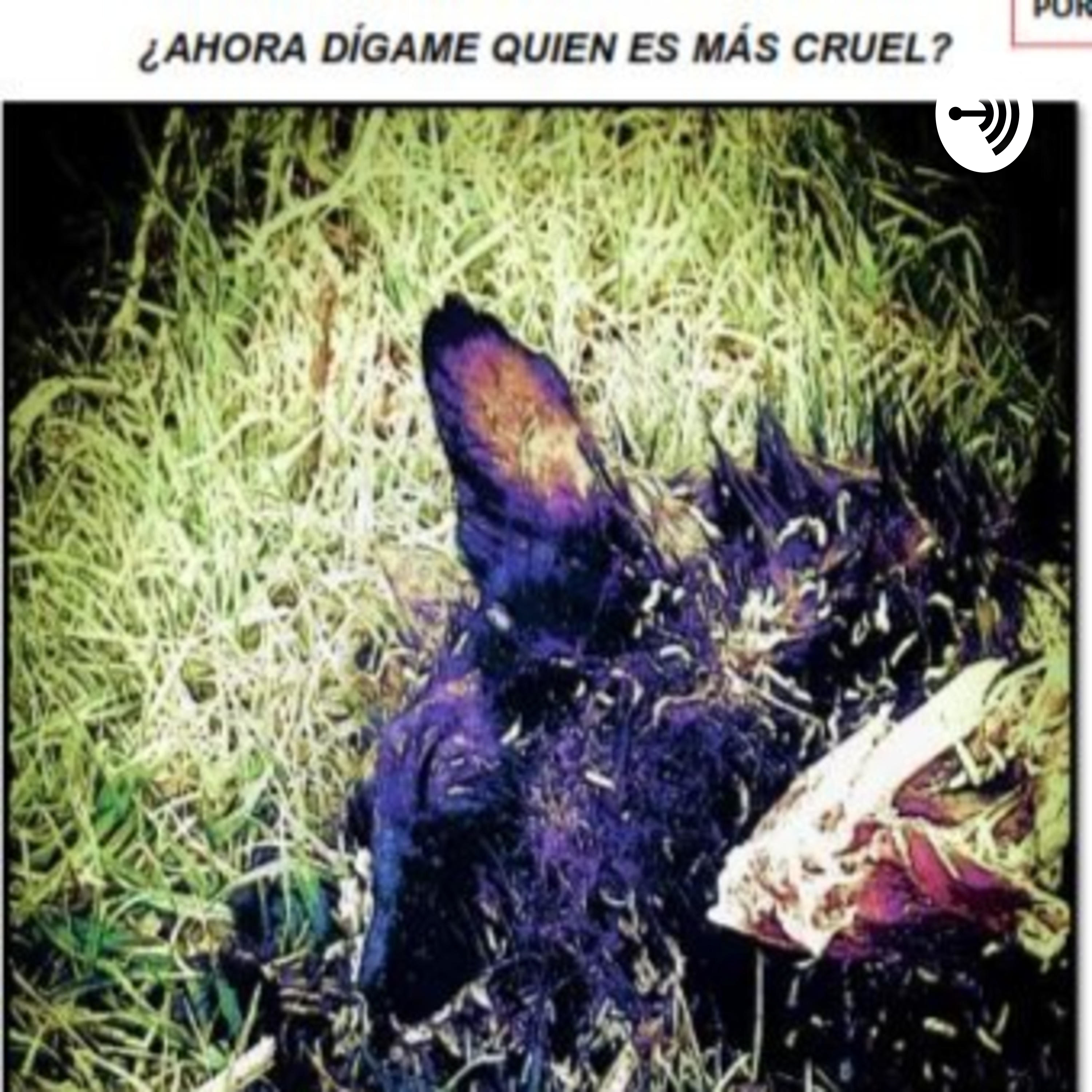 AHORA DÍGAME QUIEN ES MAS CRUEL