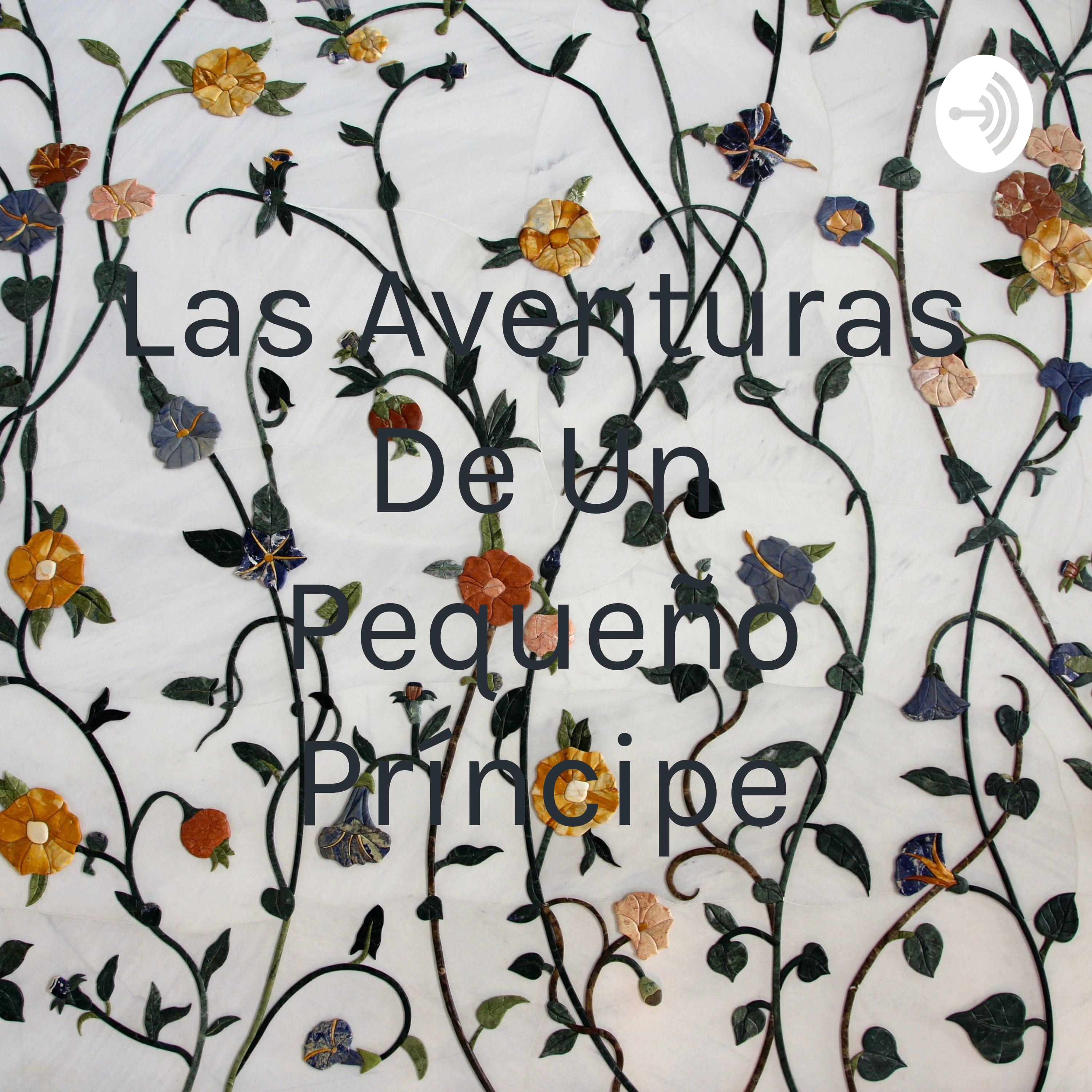 Las Aventuras De Un Pequeño Príncipe