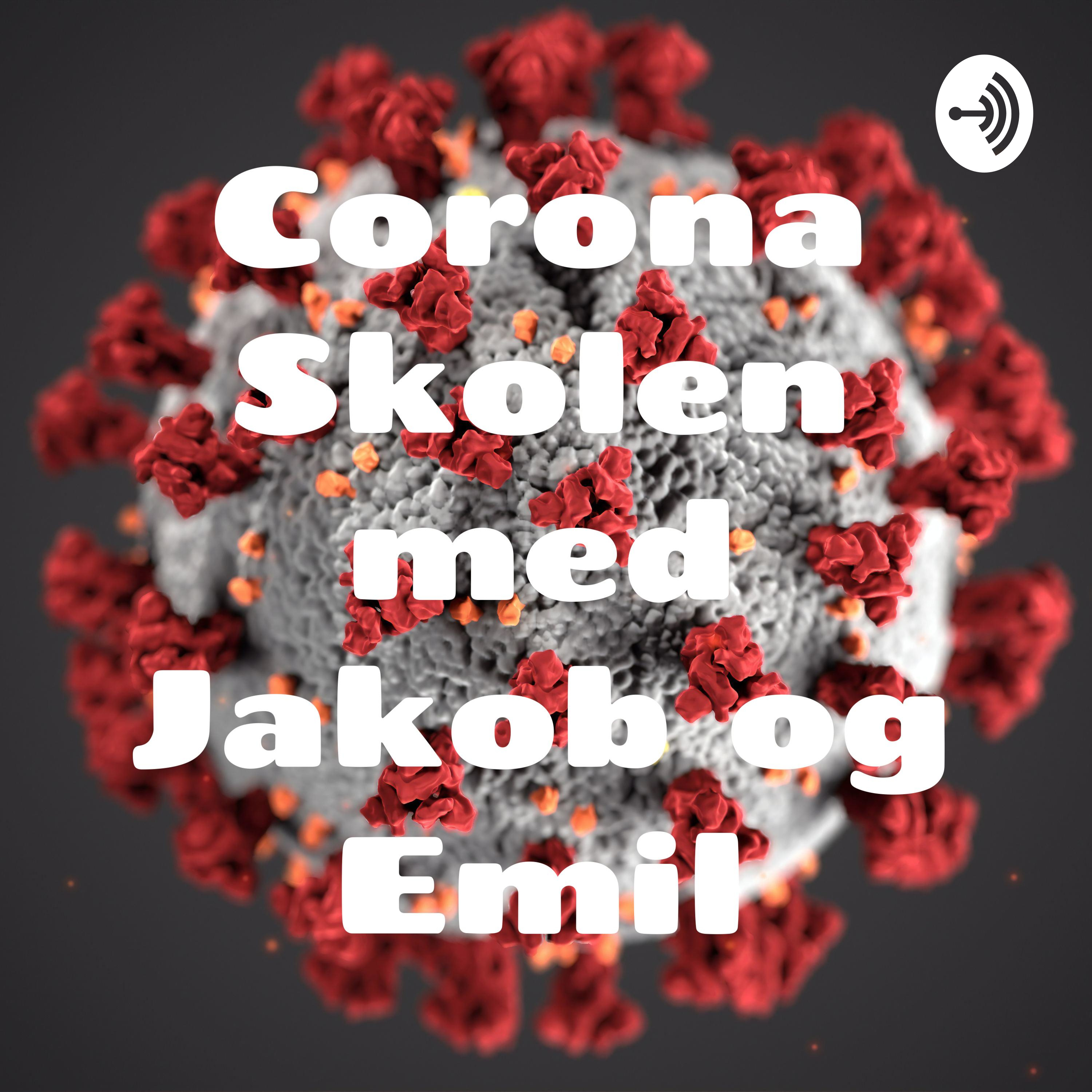Corona Skolen med Jakob og Emil af Emil Nielsen