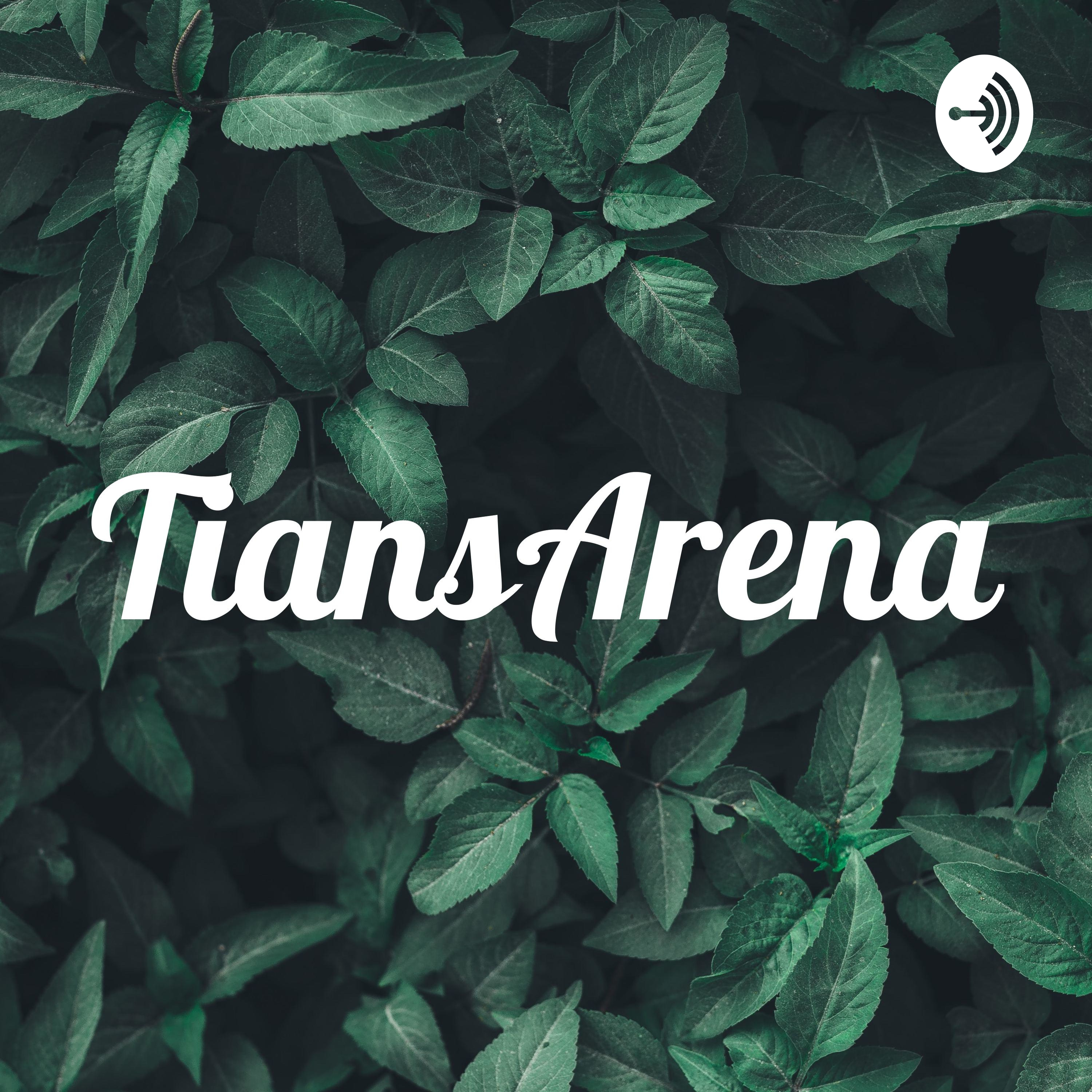 TiansArena