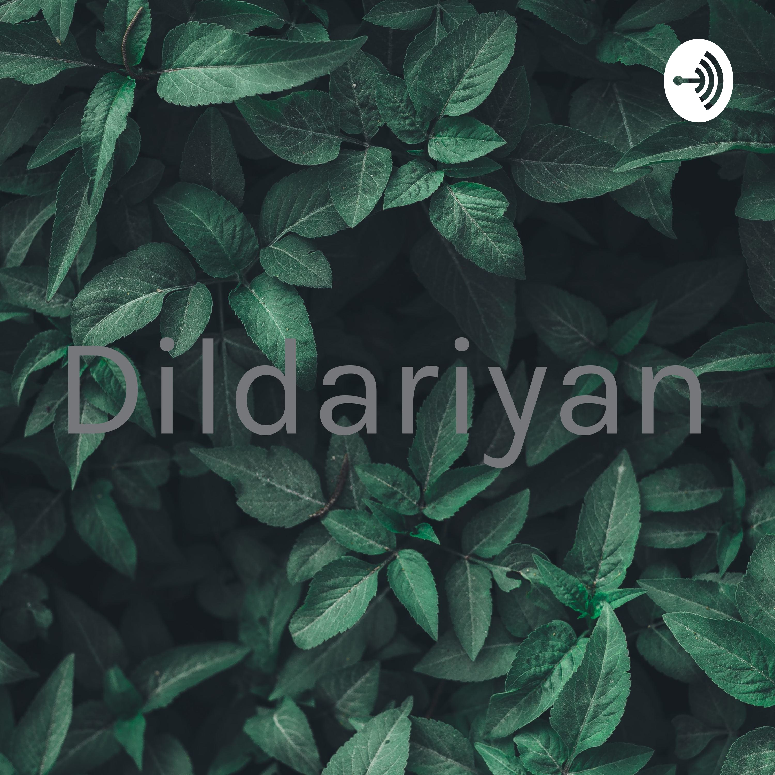 Dildariyan