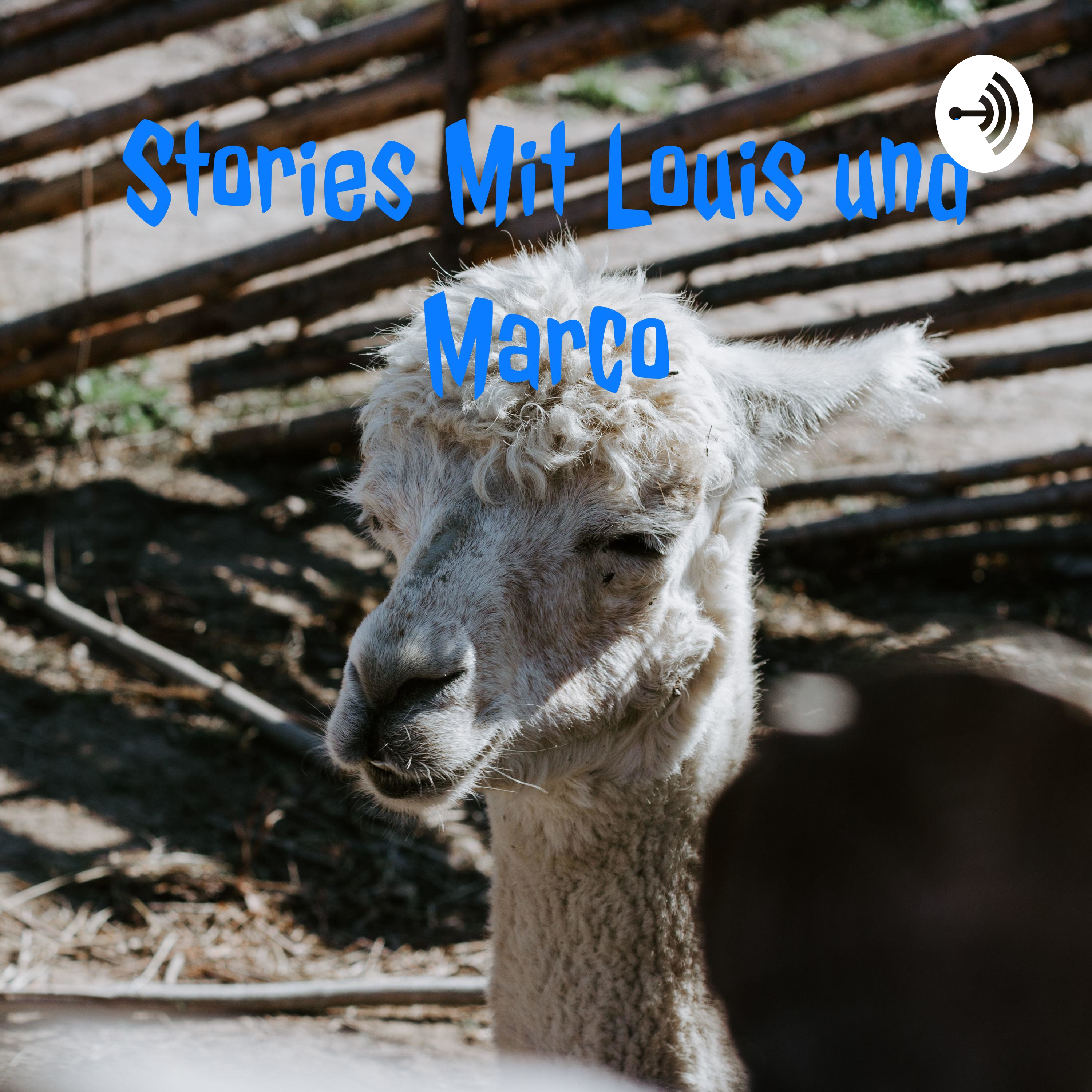 Stories Mit Louis und Marco