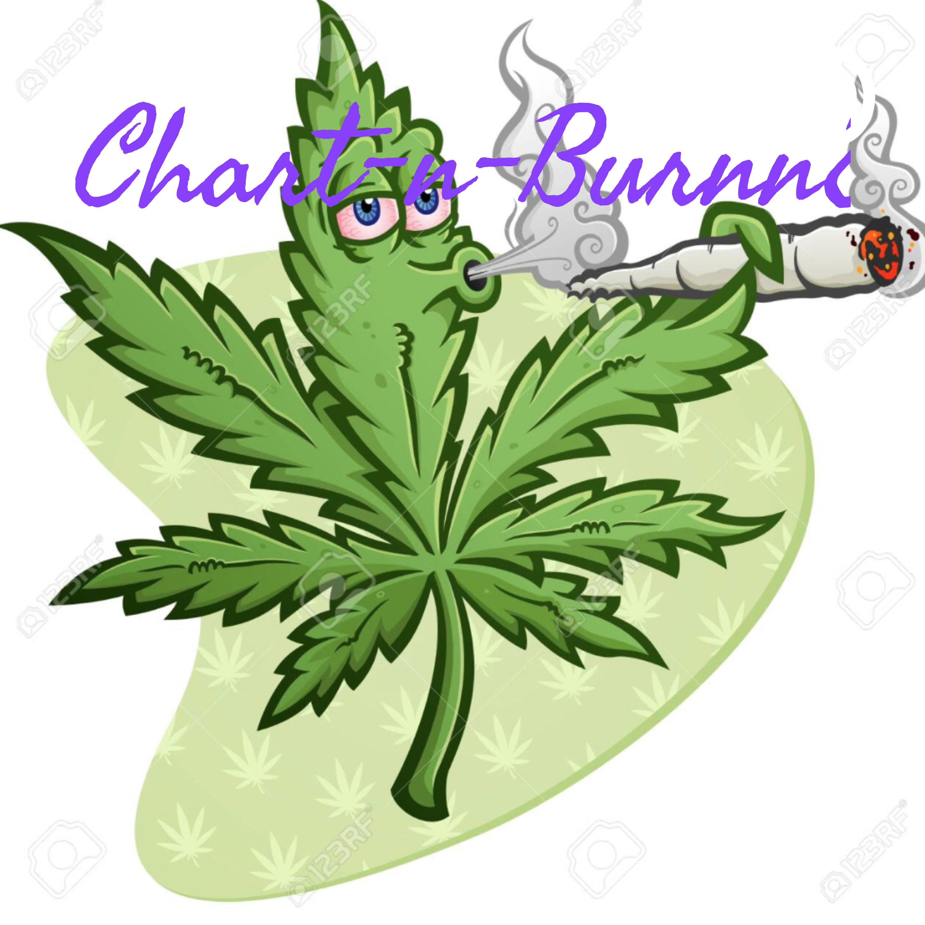 Chart-n-Burnn8582