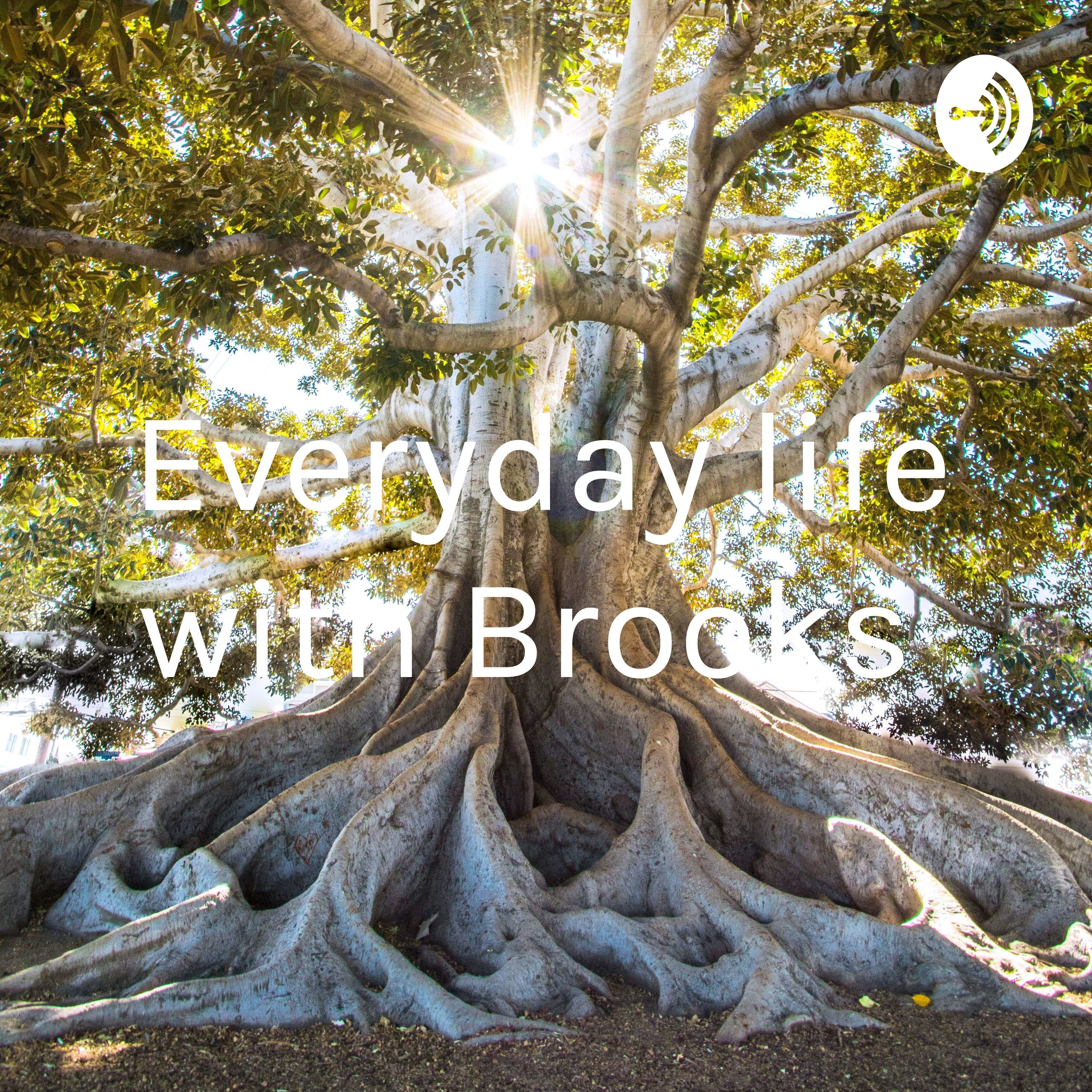 Everyday life with Brooks podcast artwork
